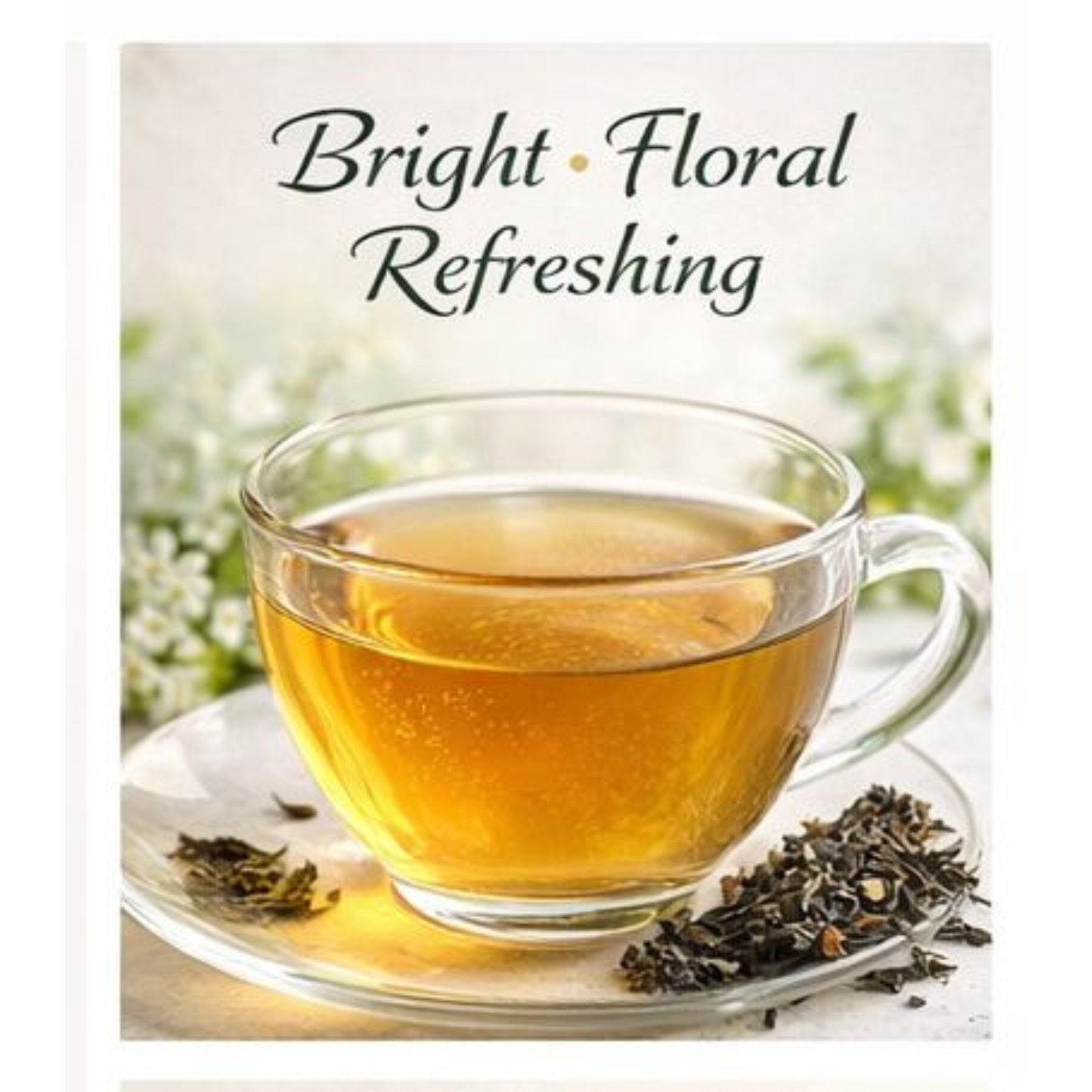 Premium Darjeeling First Flush Tea 2026 Fresh SFTGFOP 1 SPL Loose Leaf