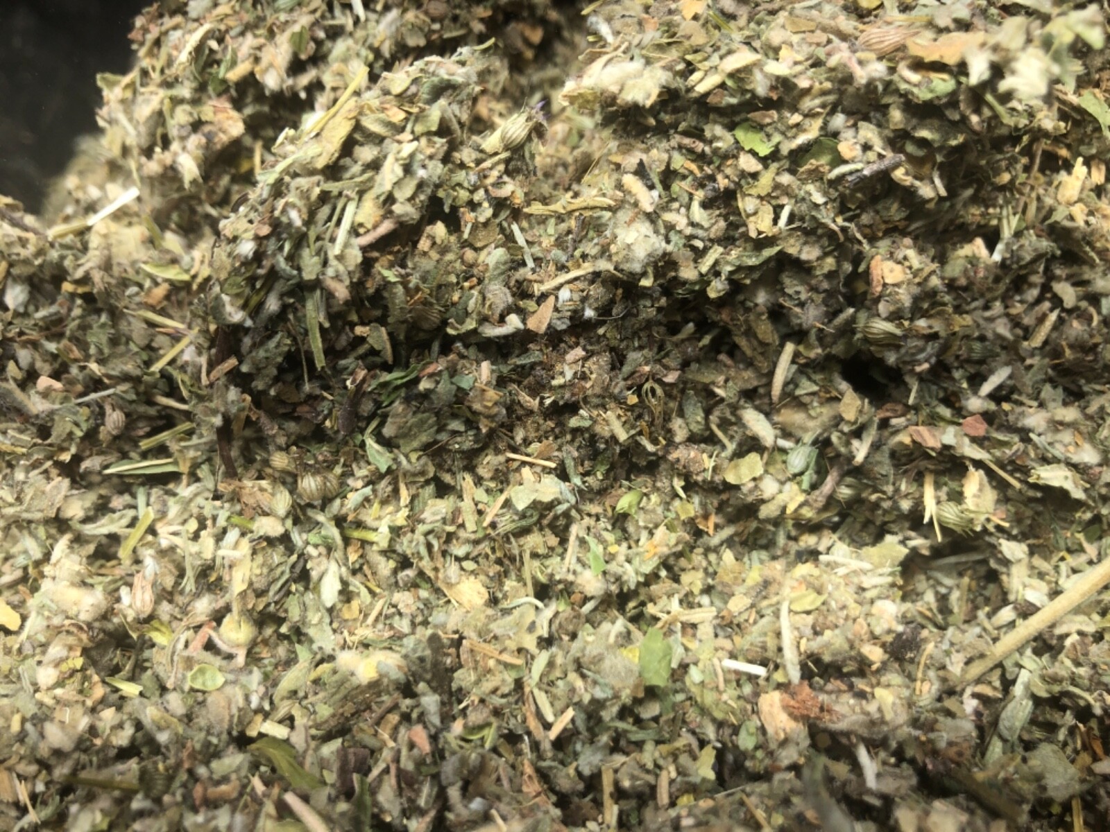 Licorice Skullcap Damiana No.57 Organic Mix Coltsfoot Plus+More Herbs! 16 ounces