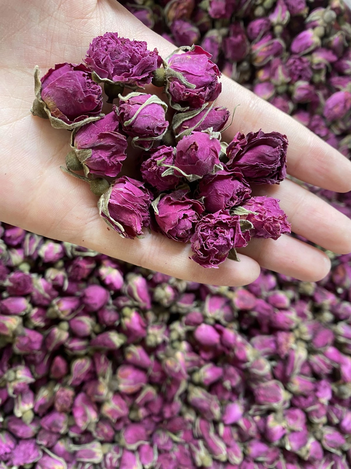 Dried Rose Petals and Rose Buds -1 Pound Food grade – Use in Tea, Baking, Mak…