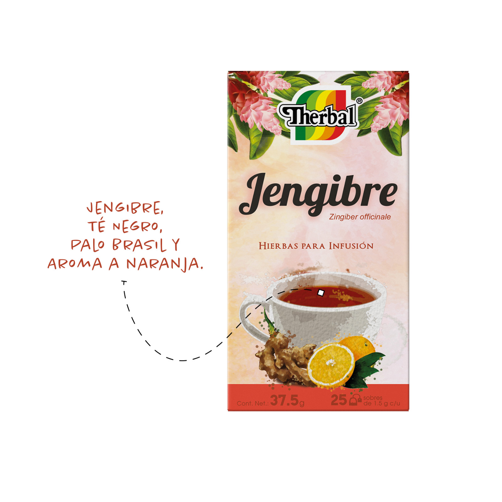 2 Packs TE de JENGIBRE / GINGER TEA BLEND 50 Bags Therbal Made in Mexico