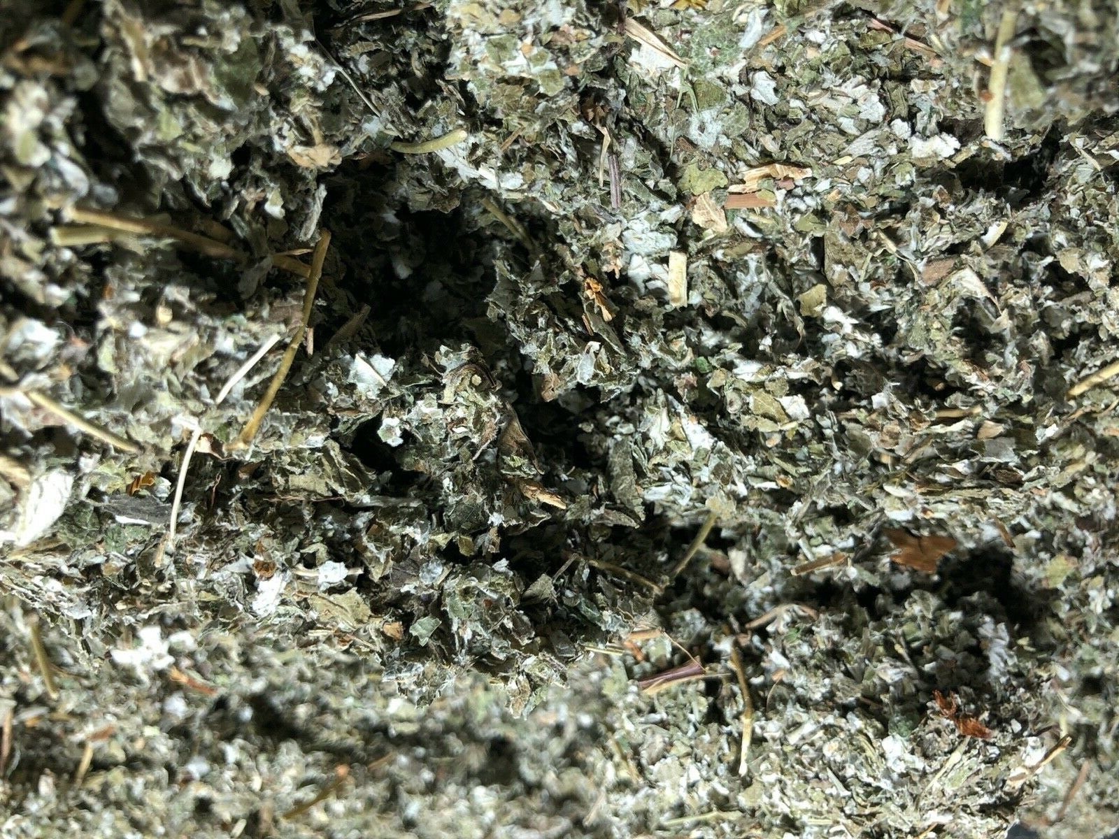 Red Raspberry Leaf ORGANIC cut Wild Crafted￼ rubus idaeus Bulk Herb 1 Lb pound