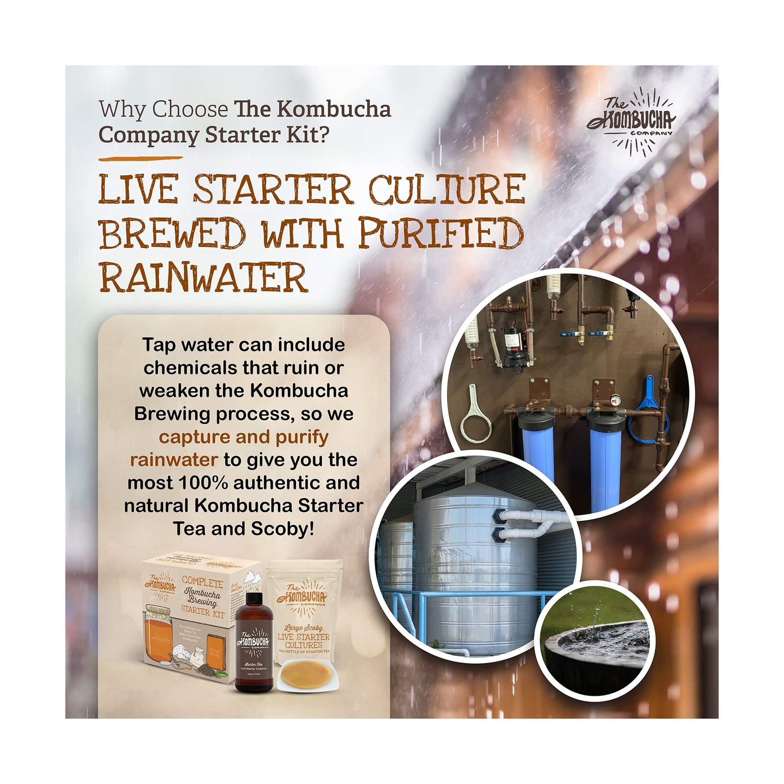 Organic Kombucha Home Brewing Starter Kit | 5-Inch Large Scoby Kombucha Start…