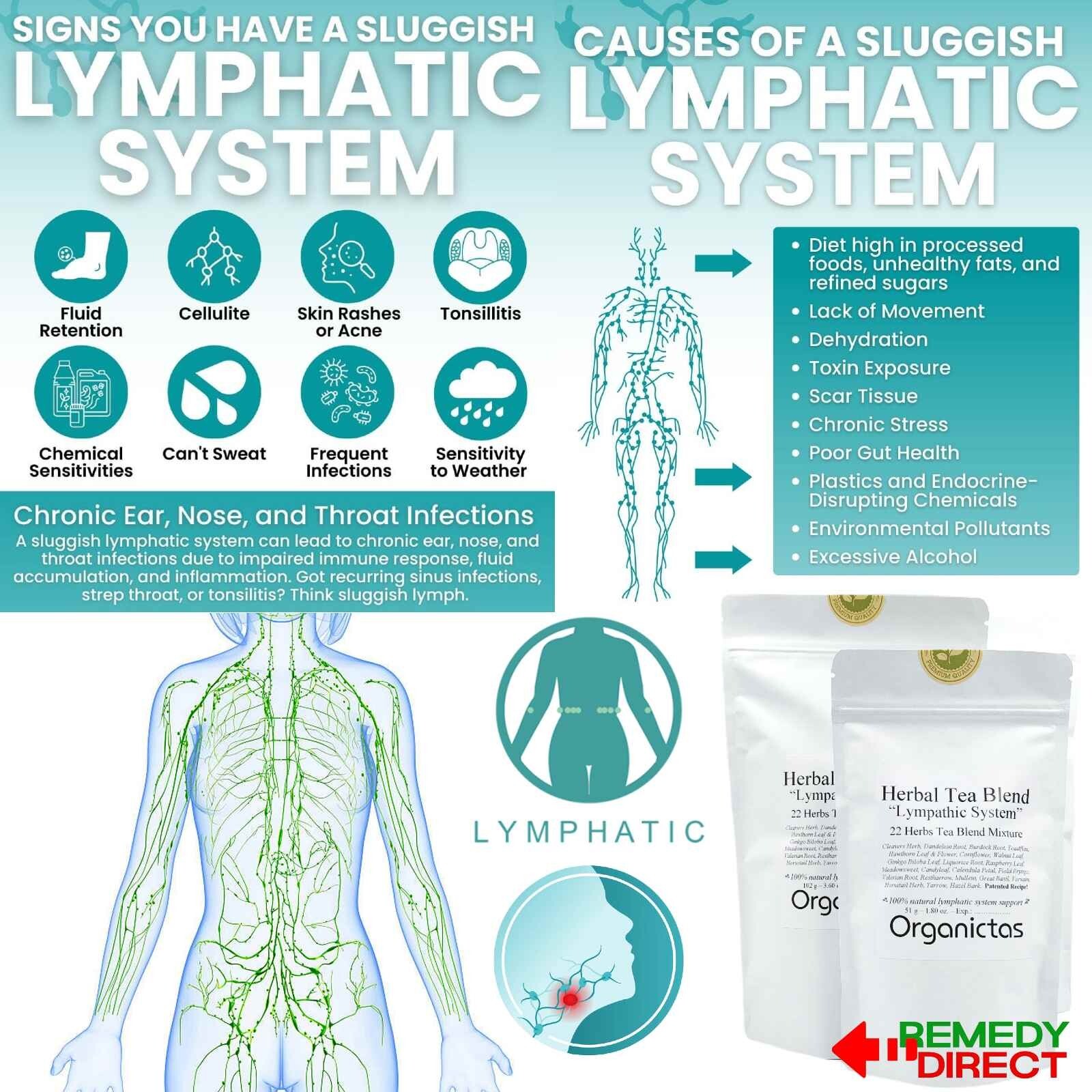 LYMPH SYSTEM TEA 22 Herb Recipe Formula Natural Lymphatic System Support Cleanse
