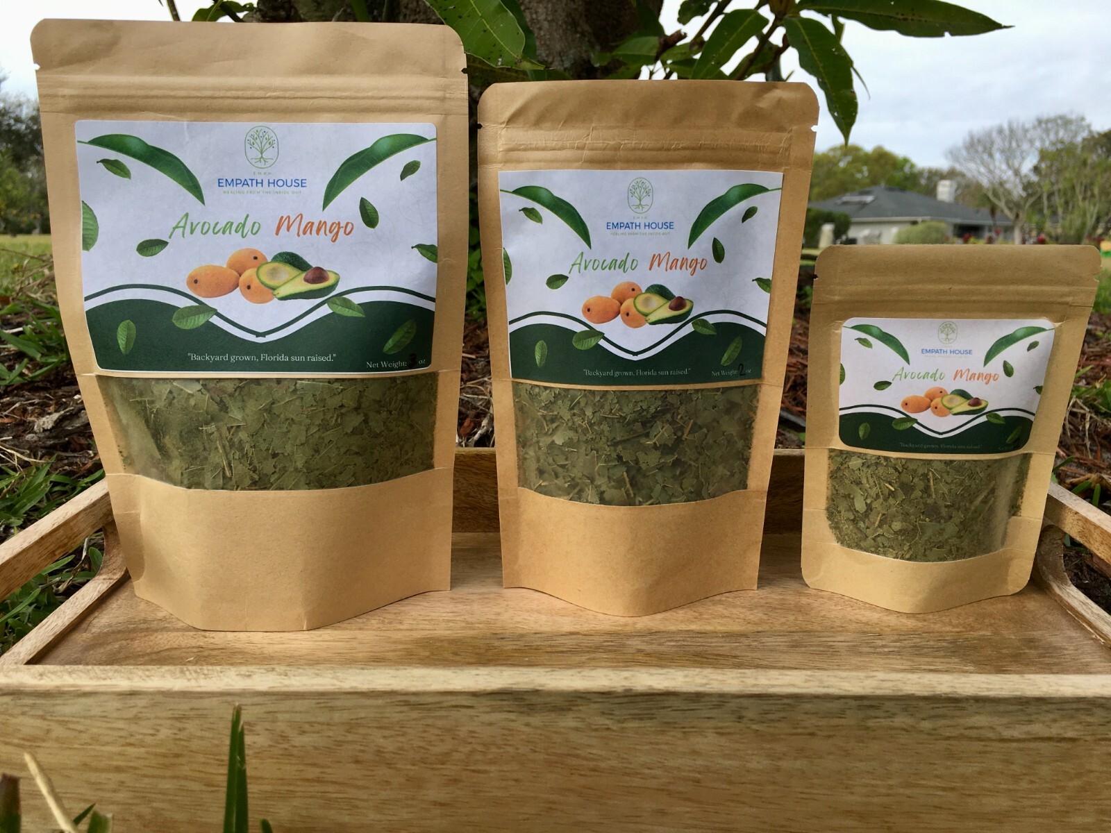 Mango Leaf & Avocado Leaf Herbal Tea 100% Organic Florida Grown USA