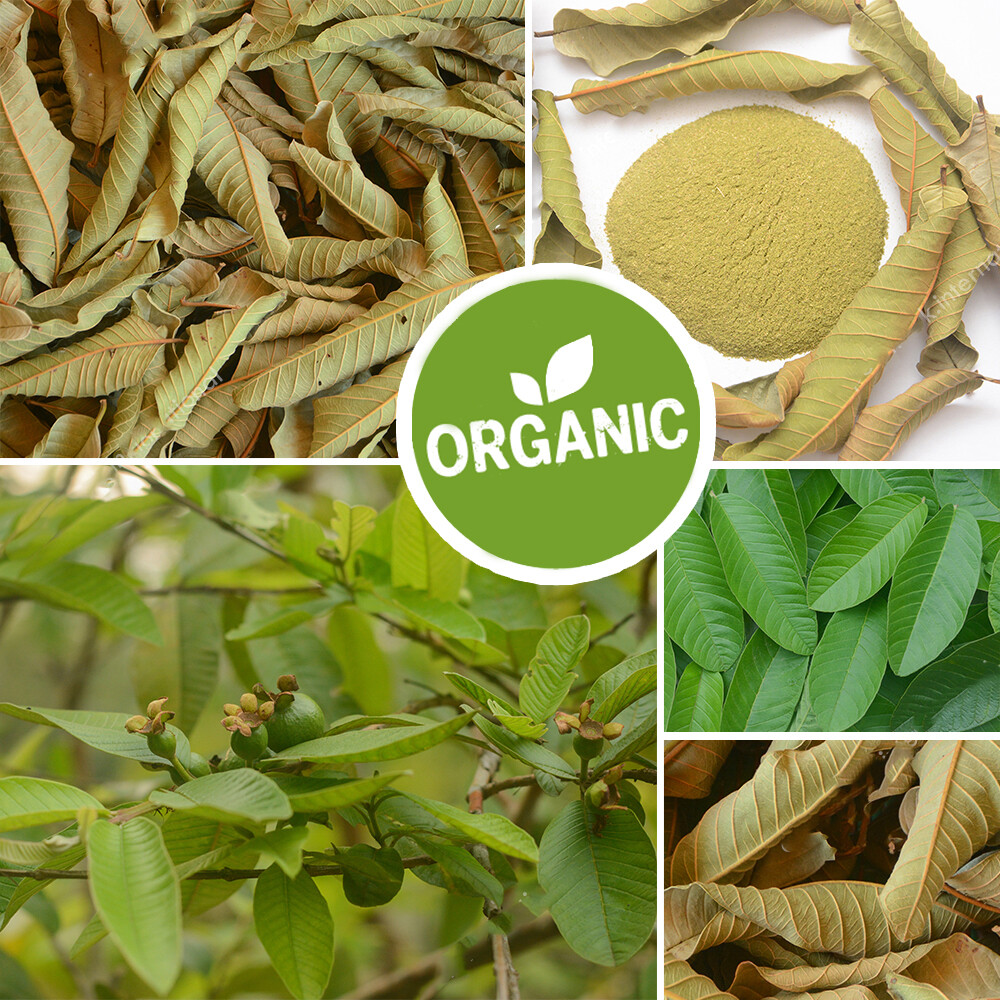 Sun dried Guava Organic Leaf Powder Herbal Green Tea Hair Skin Health Care