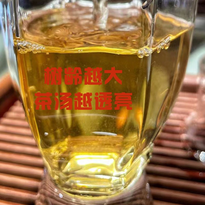 2023 Raw Puerh Mini Tea Cakes (Sheng Cha) 7g Each – Floral Honey Aroma – 500g