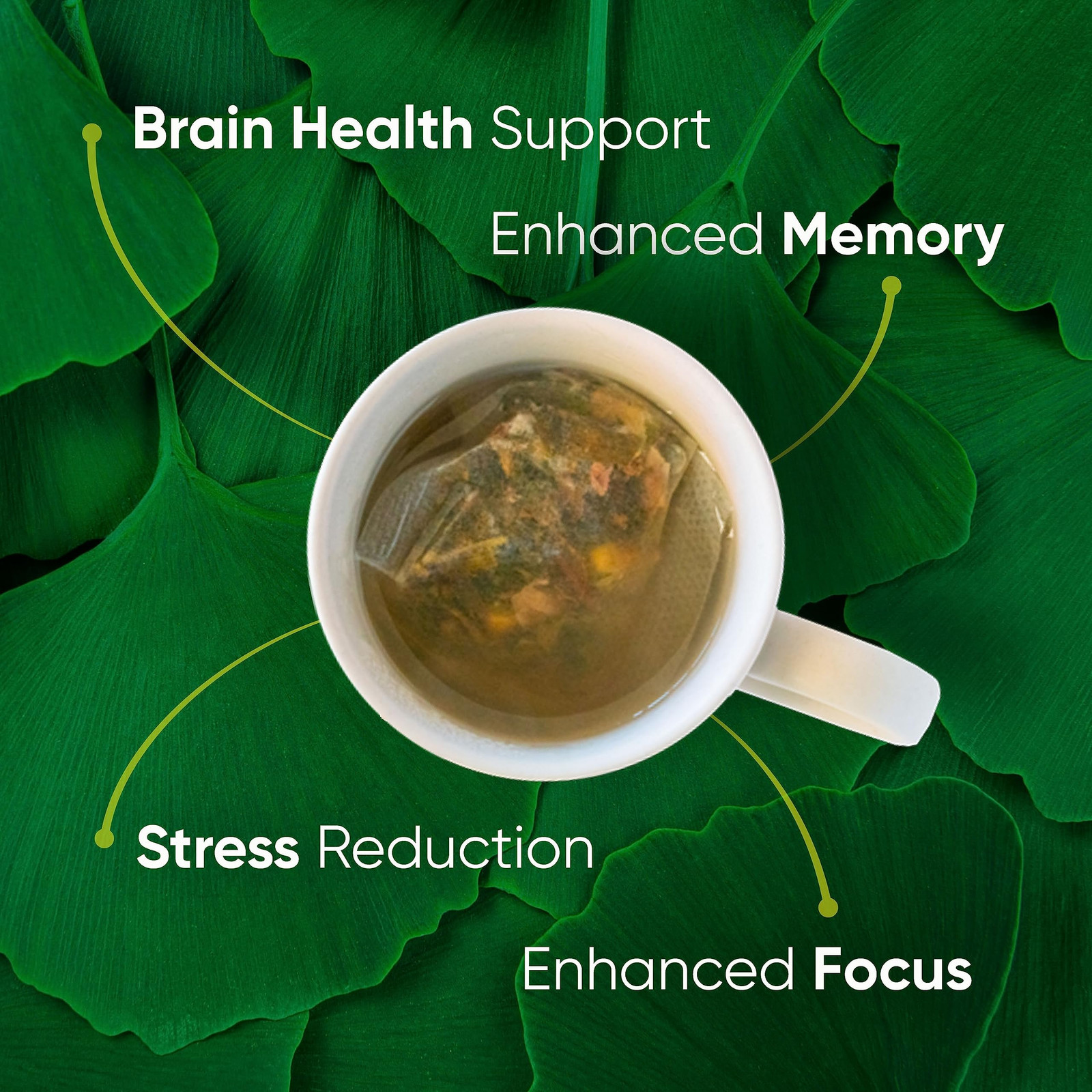 Focus & Memory – Organic Memory Tea Brain Booster, Ginkgo Biloba Tea, Gotu Ko…