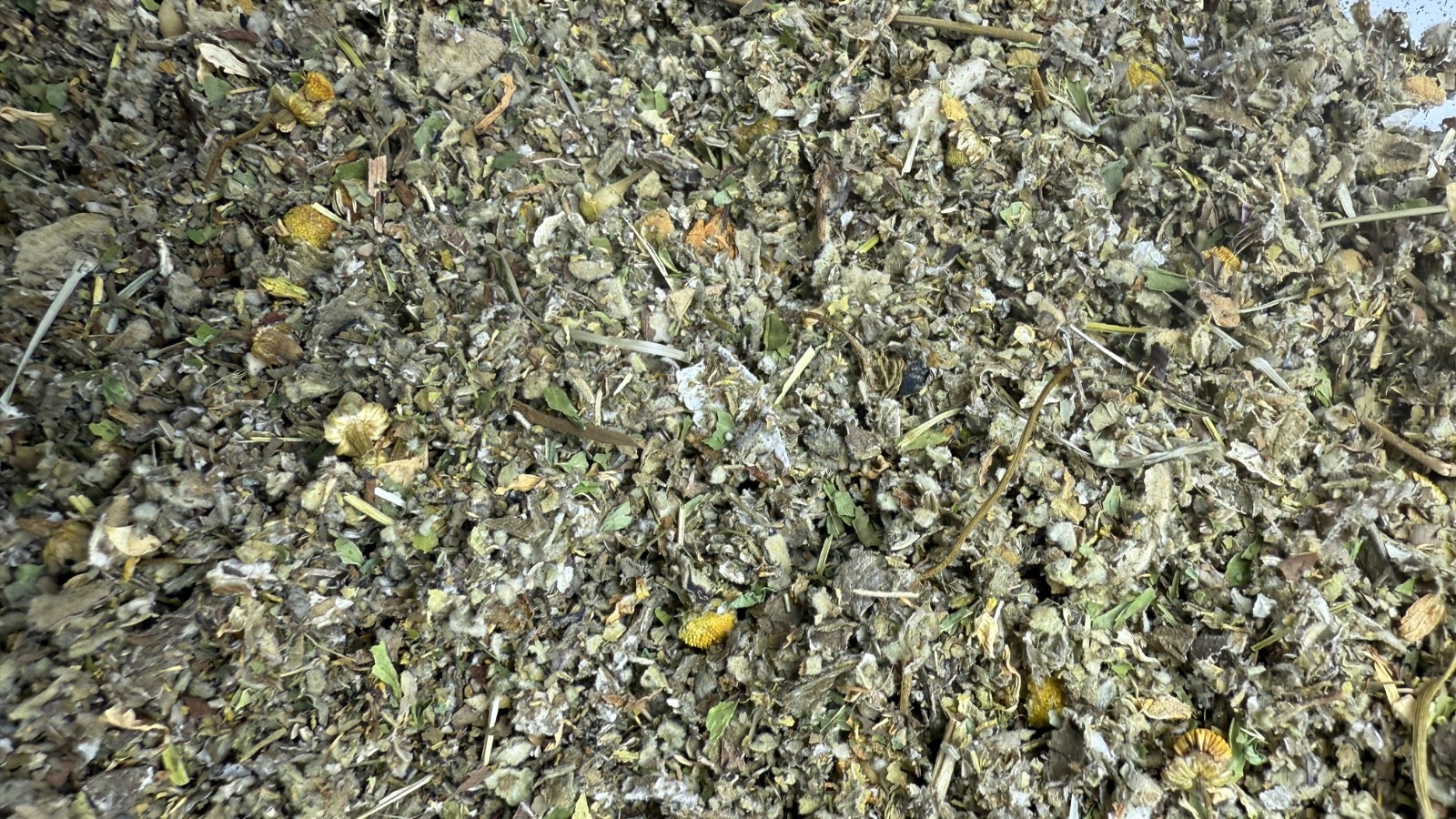 Marshmallow Raspberry Mullein Skullcap Spearmint Chamomile — No.91 Herbal Blend