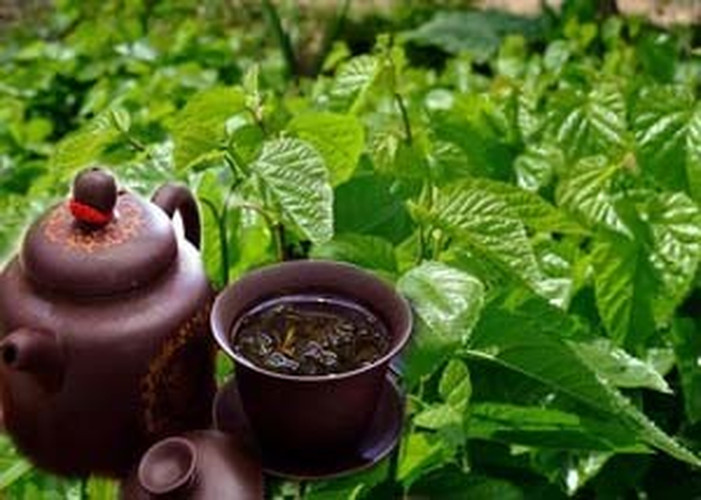 New Healthy Drink Dried Mulberry Leaf Tea Natural Herbal Tea Organic Chinese Tea