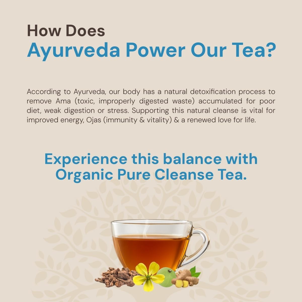 Maharishi Ayurveda All Natural Pure Cleanse Herbal Tea, 20 Tea Bag