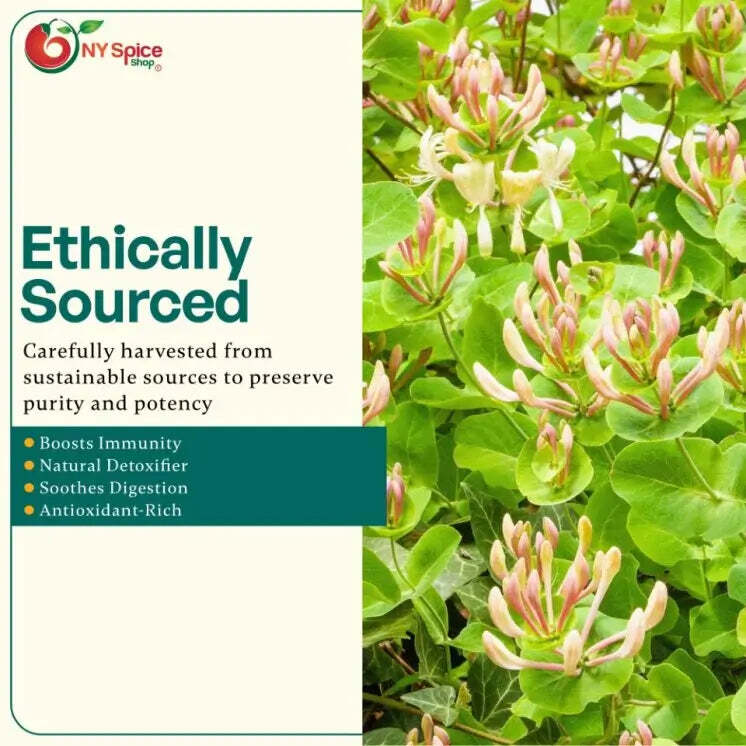 Honeysuckle Flower Tea – Lonicera japonica – Dried Flower – by NY Spice