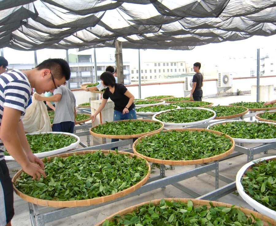 Dongding Oolong Tea Giving away free Coaster/ high quality Oolong tea