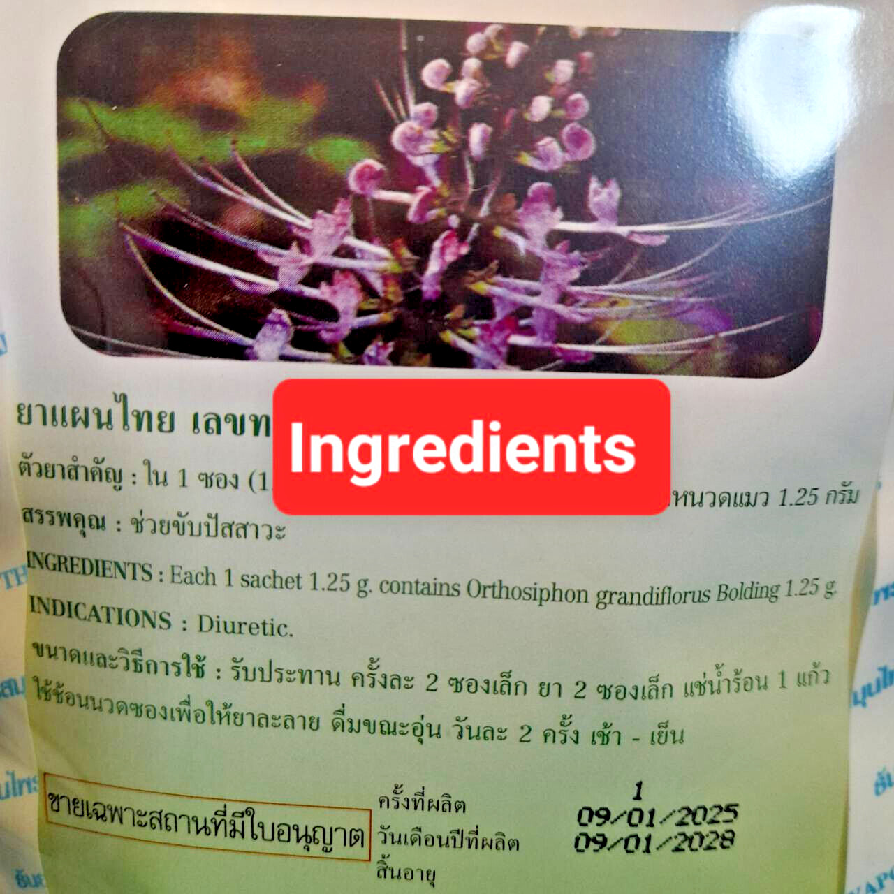 6X Java Tea Cat’s Whiskers Thai Herbal Organic Natural Orthosiphon Grandiflorus