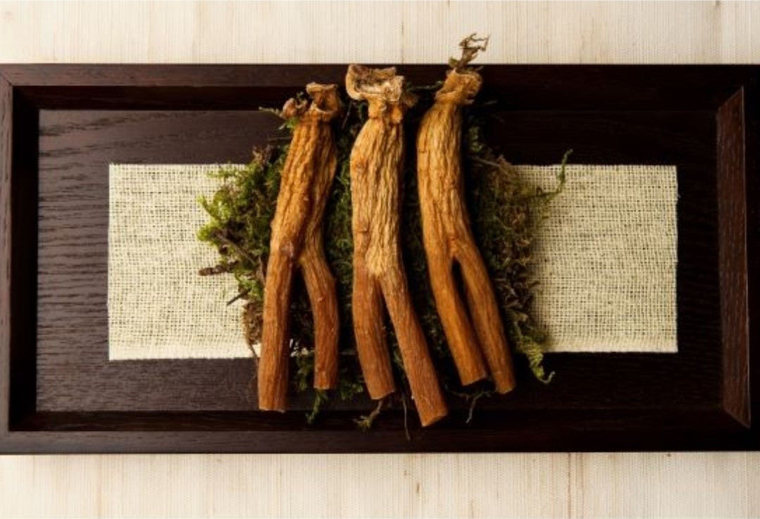 [Gang Hwa Ginseng Nonghyup] Korean 6 Years Red Ginseng Extract Premium 500g