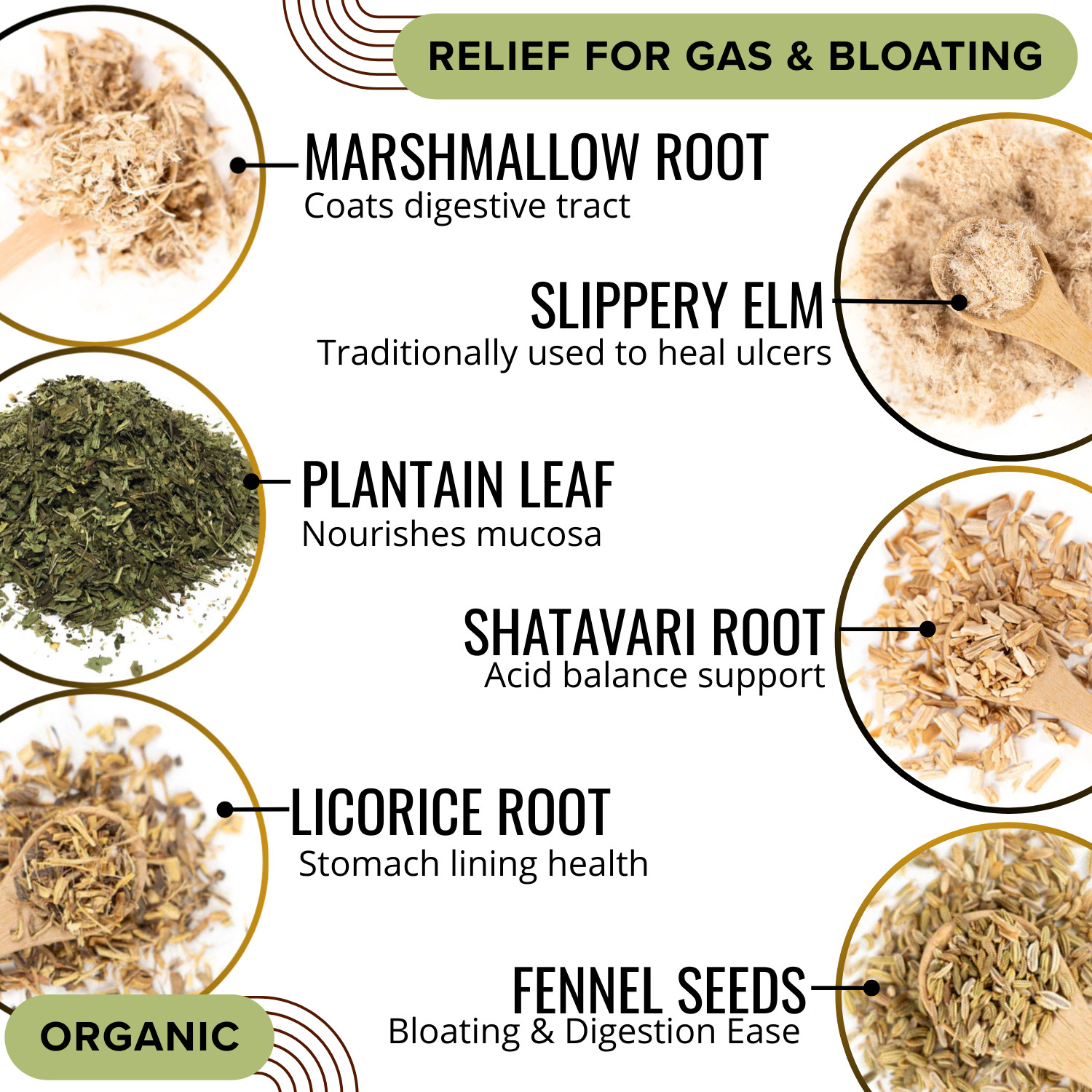 SOOTHING GUT TEA for stomach ulcers, inflammatory colon conditions, sore throat