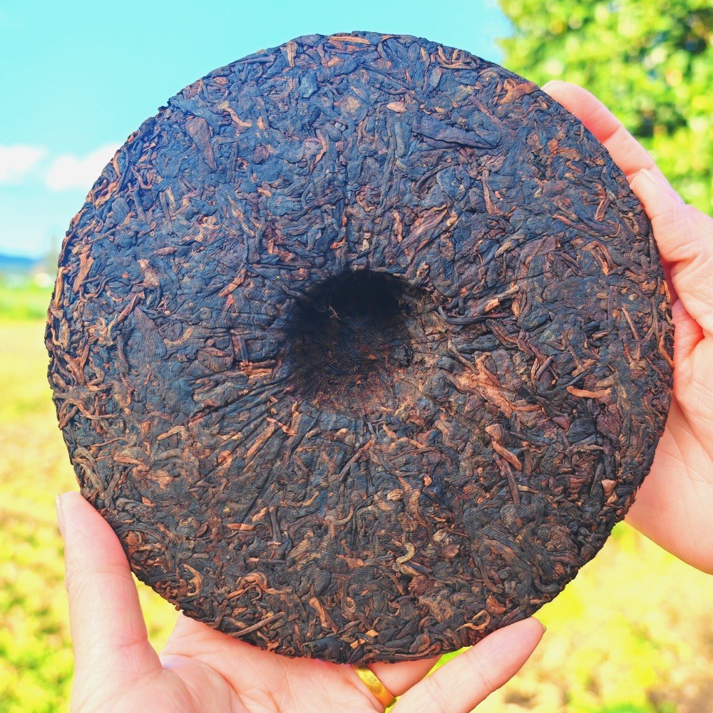 Pu-erh Puer Puerh Tea 357g 2003 Yunnan Menghai Banzhang Ancient Tree Ripe Cake