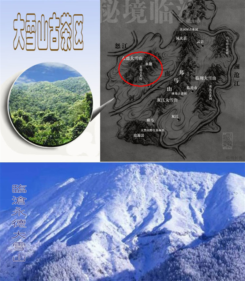 400g Aged Ancient Tree Pu-erh Tea Yunnan Top Grade Loose Leaf Puer Tea