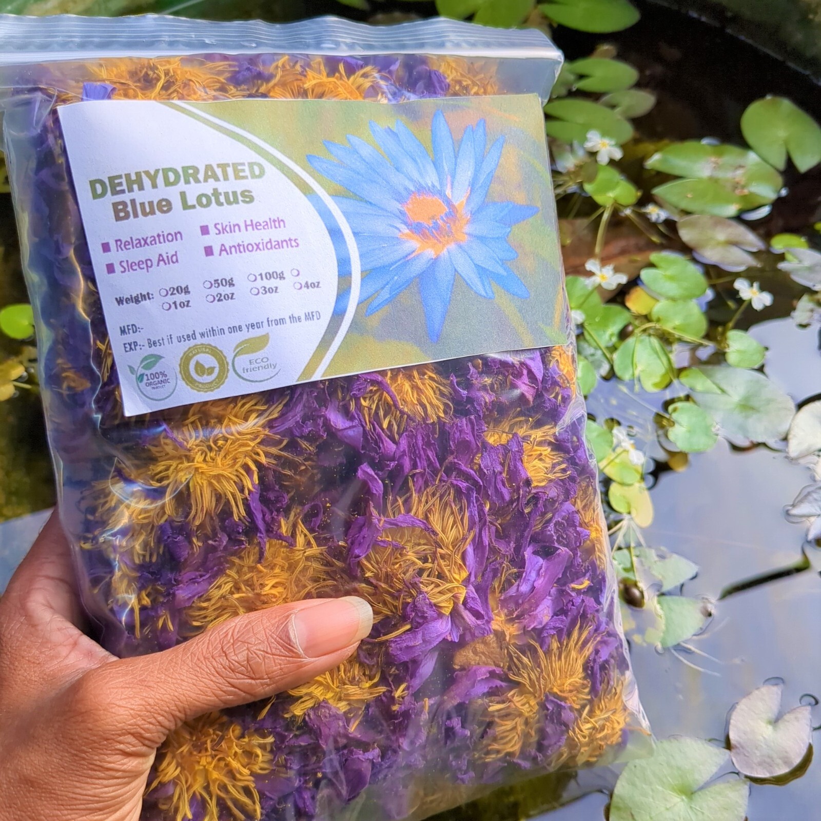 Blue Lotus Flower Nymphaea Caerulea, Egyptian Water Lily Flowers Lucid Dream 5oz