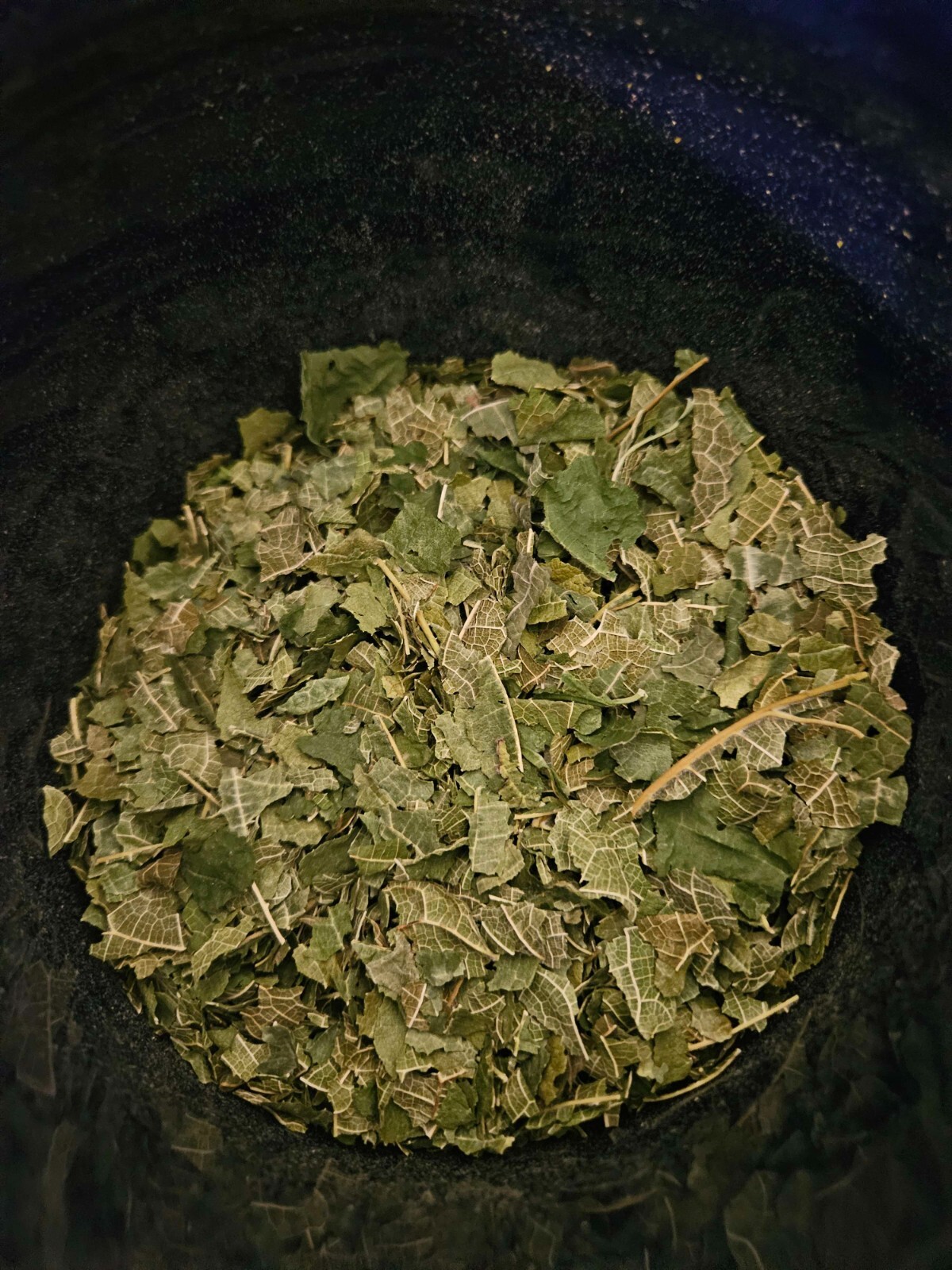 Organic Mulberry loose leaf tea USA Grown and packaged 4oz