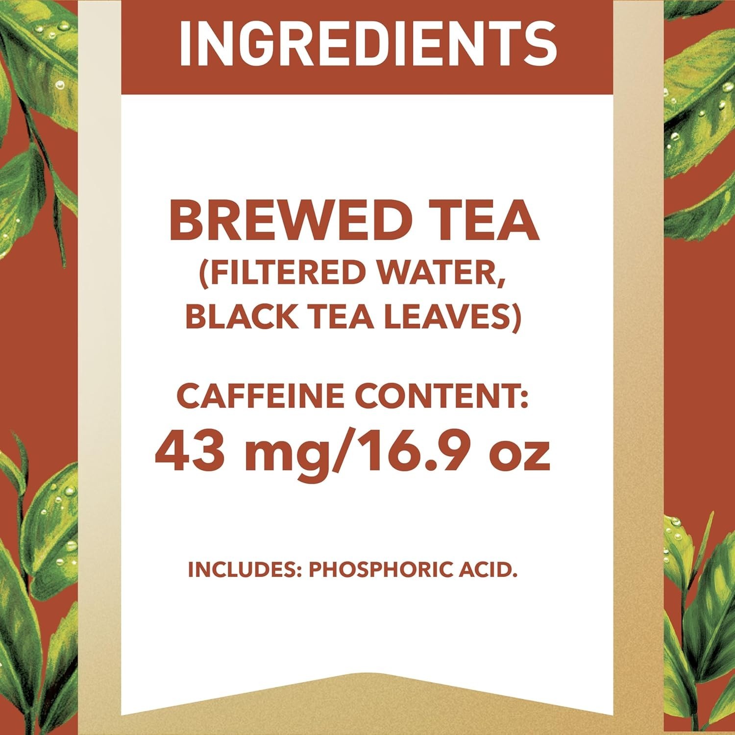 Brewed Unsweetened Black Tea – Convenient 6-Pack of 16.9 Fl Oz Hydration Bottles