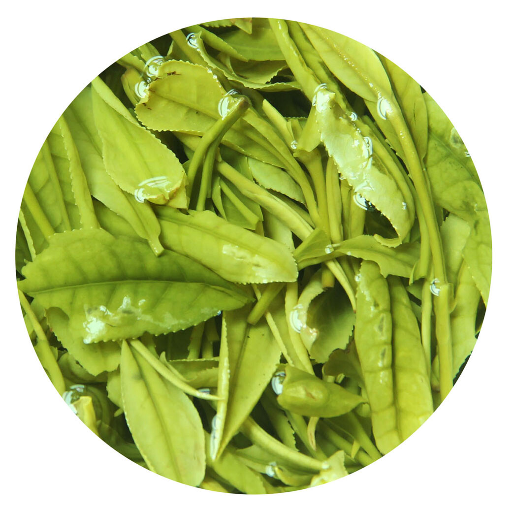 GOARTEA Premium Anji Baicha Baipian White Slice Tea Spring Chinese GREEN TEA