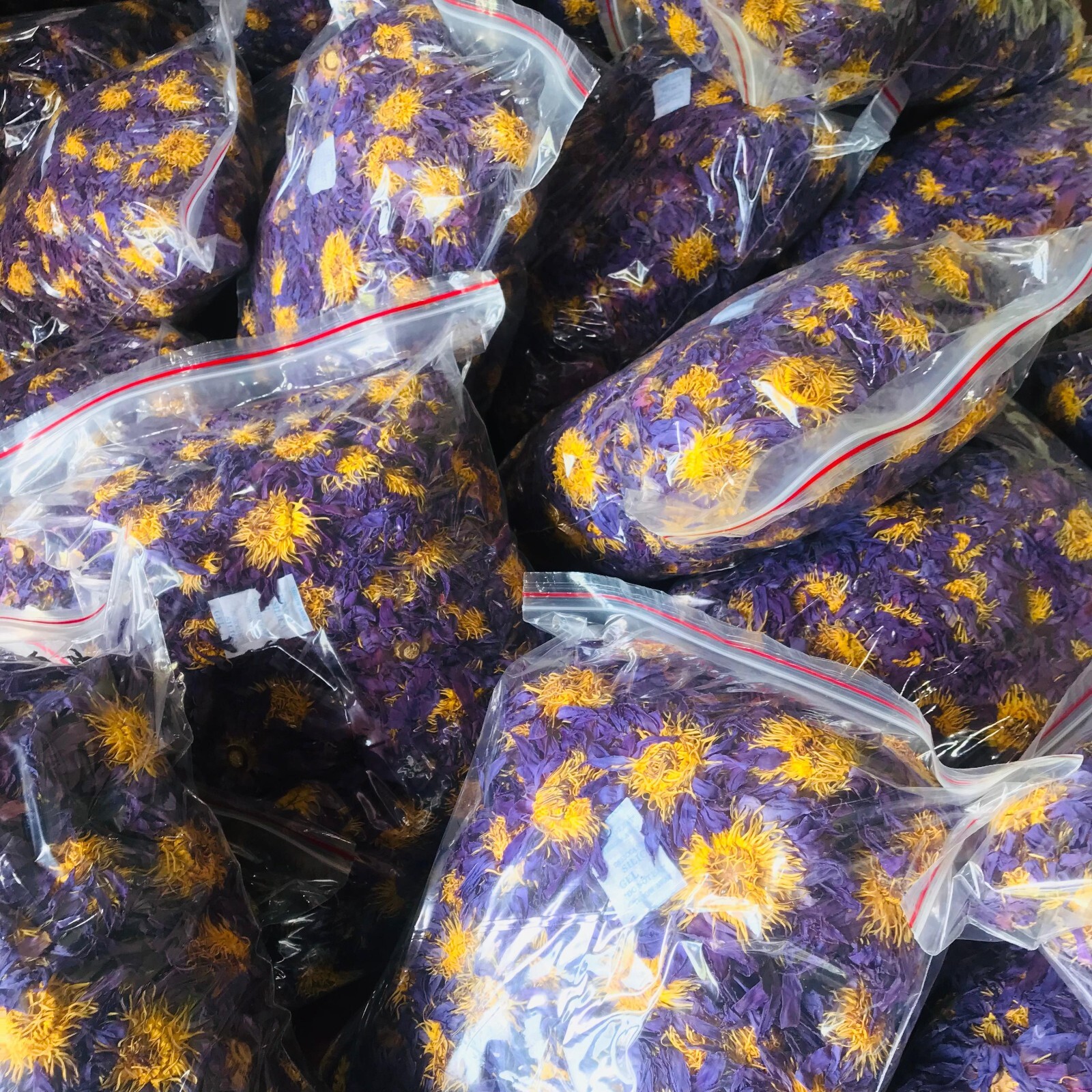 Ceylon Dried Blue Lotus NYMPHAEA CAERULEA 100% Organic 1kg Pure Whole Flowers