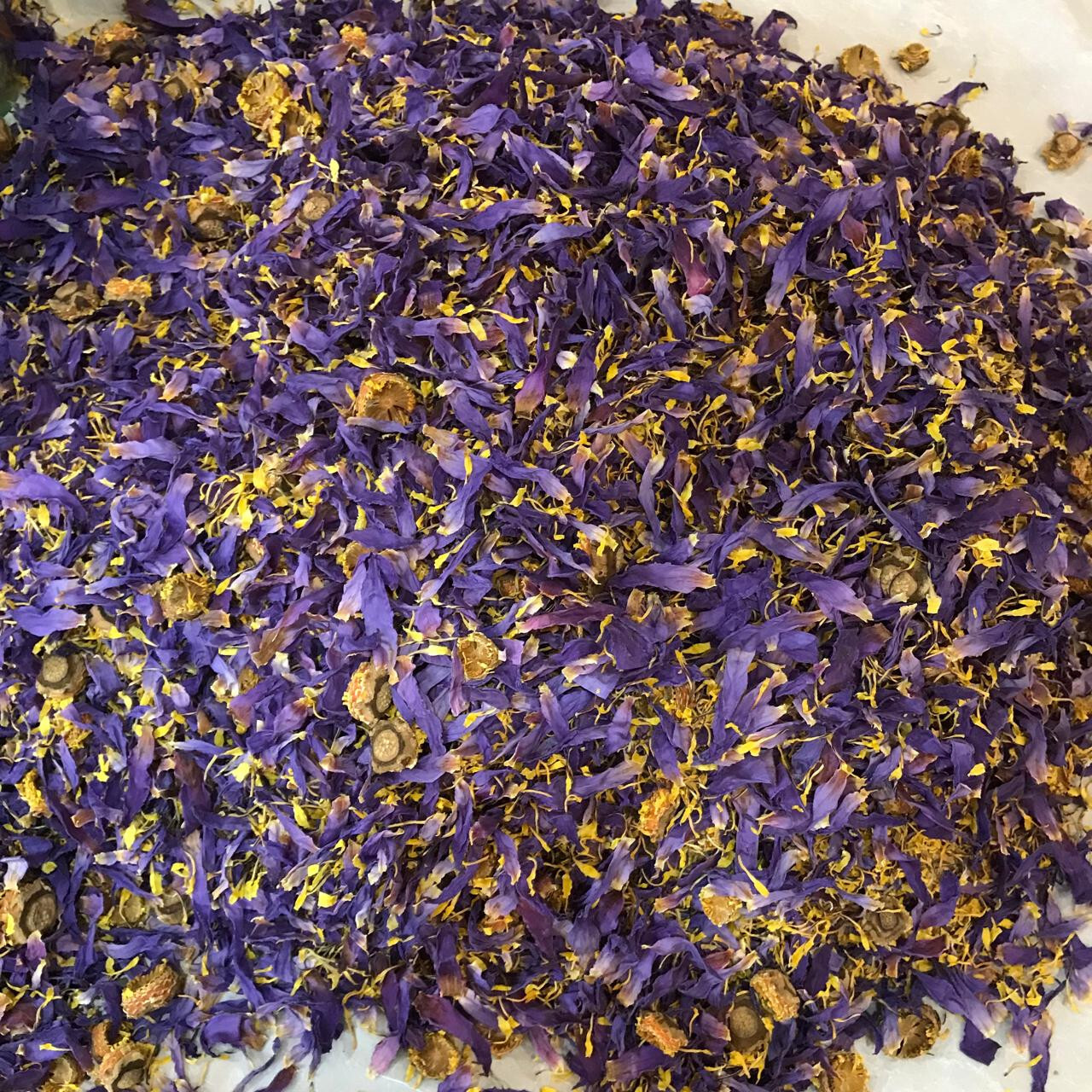 Ceylon |Cut Blue Lotus| Nymphaea Caerulea Sacred Organic Dried Flowers Tea