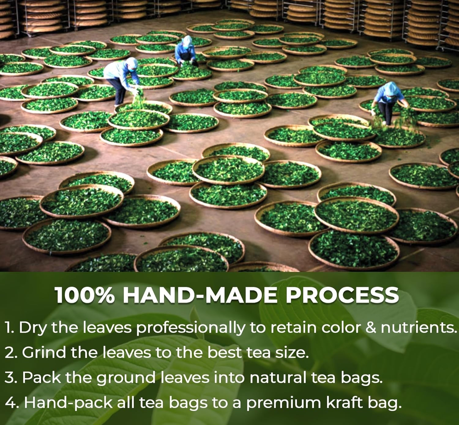 60 Tea Bags Dried Guava Leaf Tea Caffeine-Free, Sugar-Free, Gluten-Free