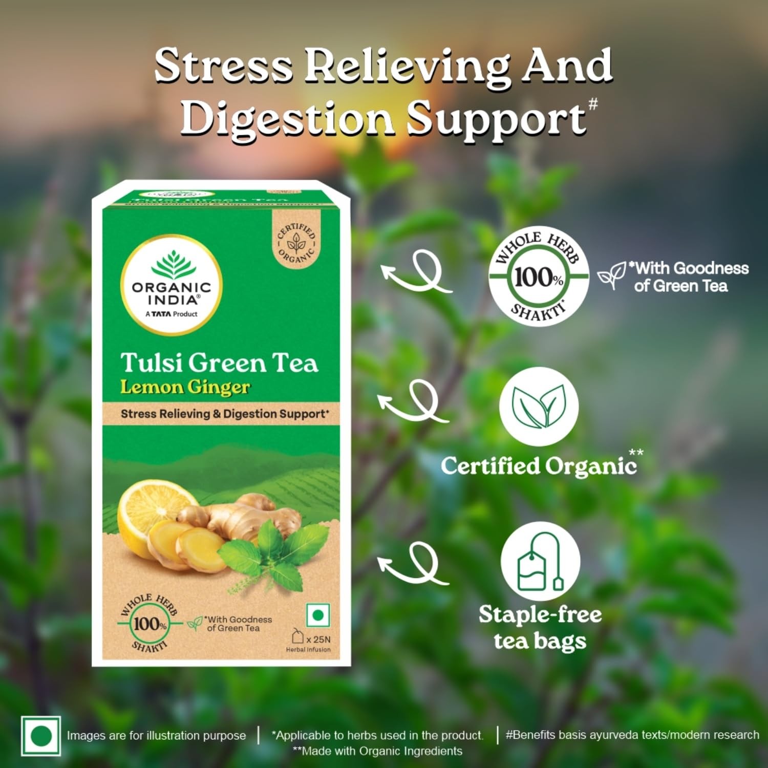 Organic India Tulsi Green Tea Lemon Ginger 25 Tea Bags | Supports Digestion