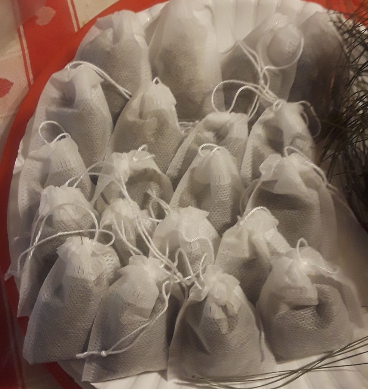 🌲Lot: 100 Pc Organic Eastern White Pine Needle Tea Bags Bag Tree Pinus Stronus