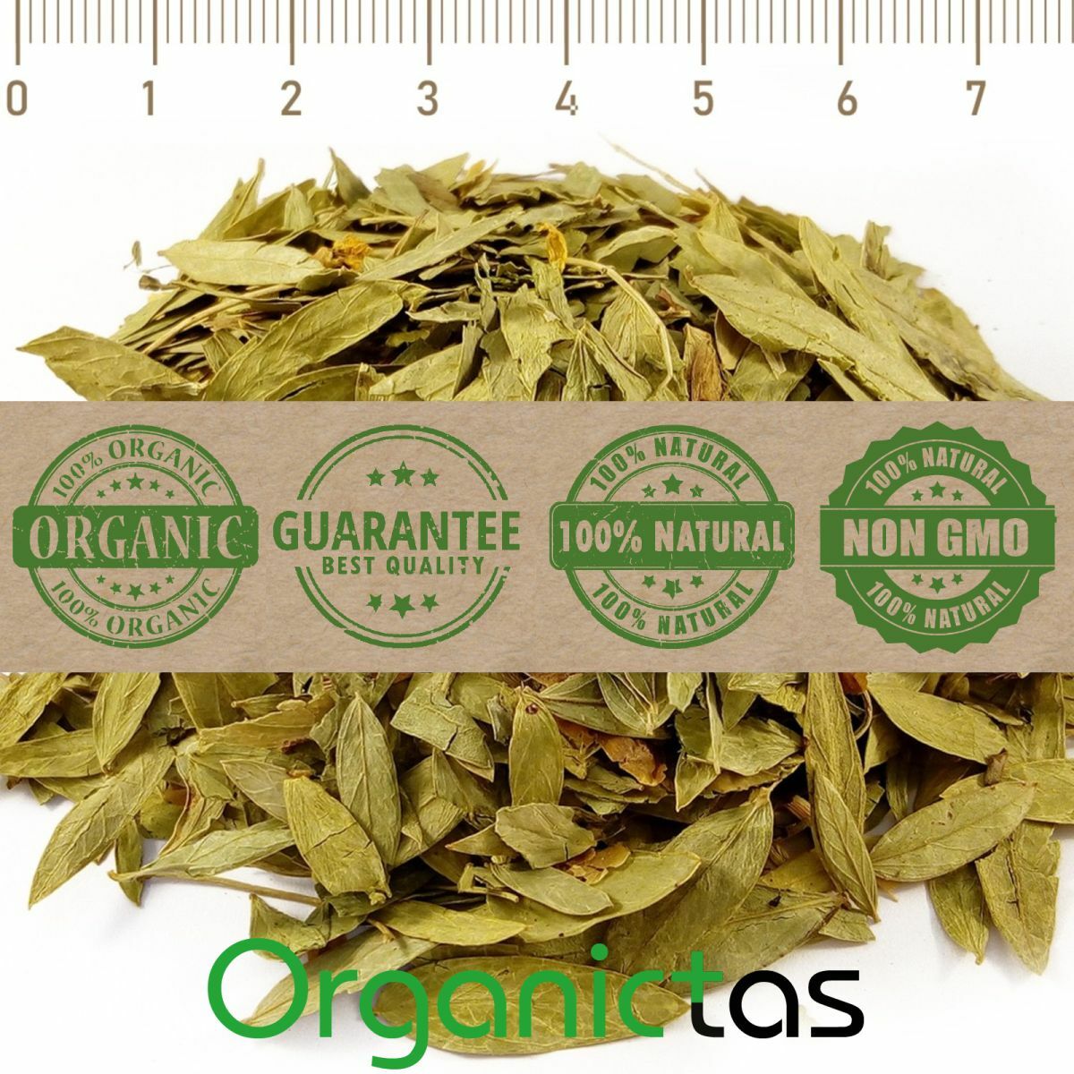 Organic SENNA LEAVES Herbal Tea Constipation Detox Weight Loss Premium Quality