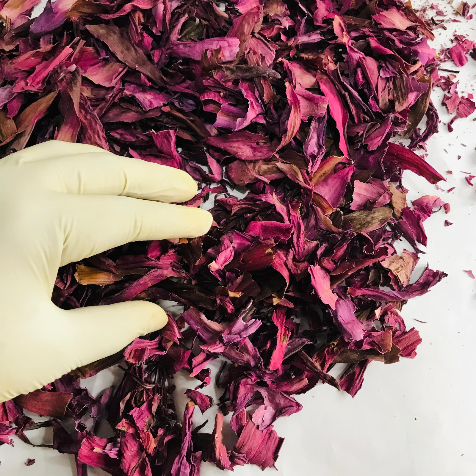 Dried Cut Red Lotus 1kg Nymphaea Rubra Flower Pure Organic Ceylon Herbal Tea