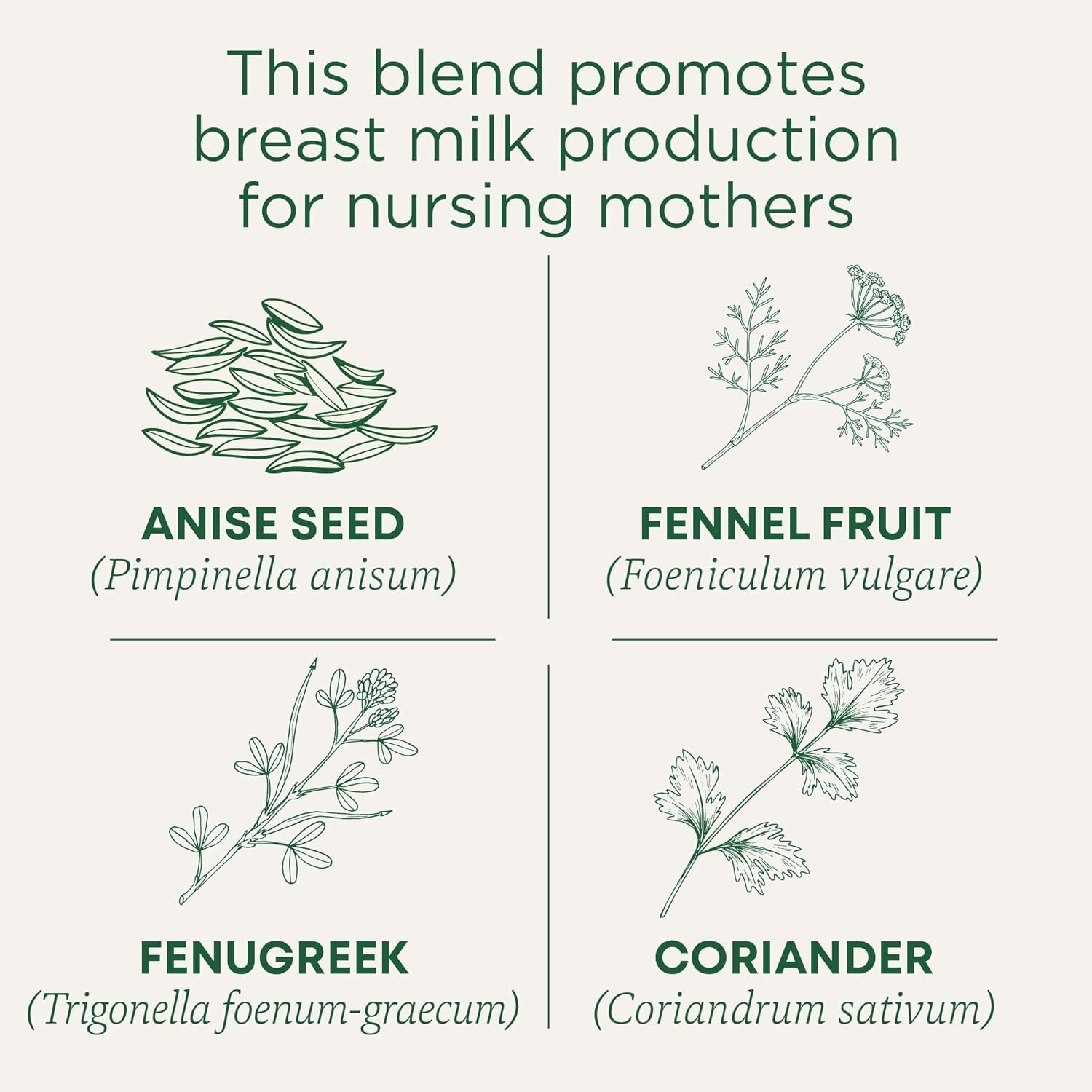 Organic Mother’s Milk Tea with Fennel and Fenugreek for Lactation Support