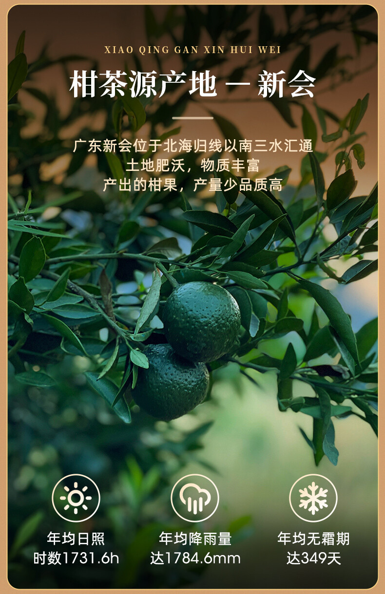 Xiao Qing Gan Chenpi Pu’er Orange Yunnan Pu-erh Tea Stuffed Tangerine Ripe 230g