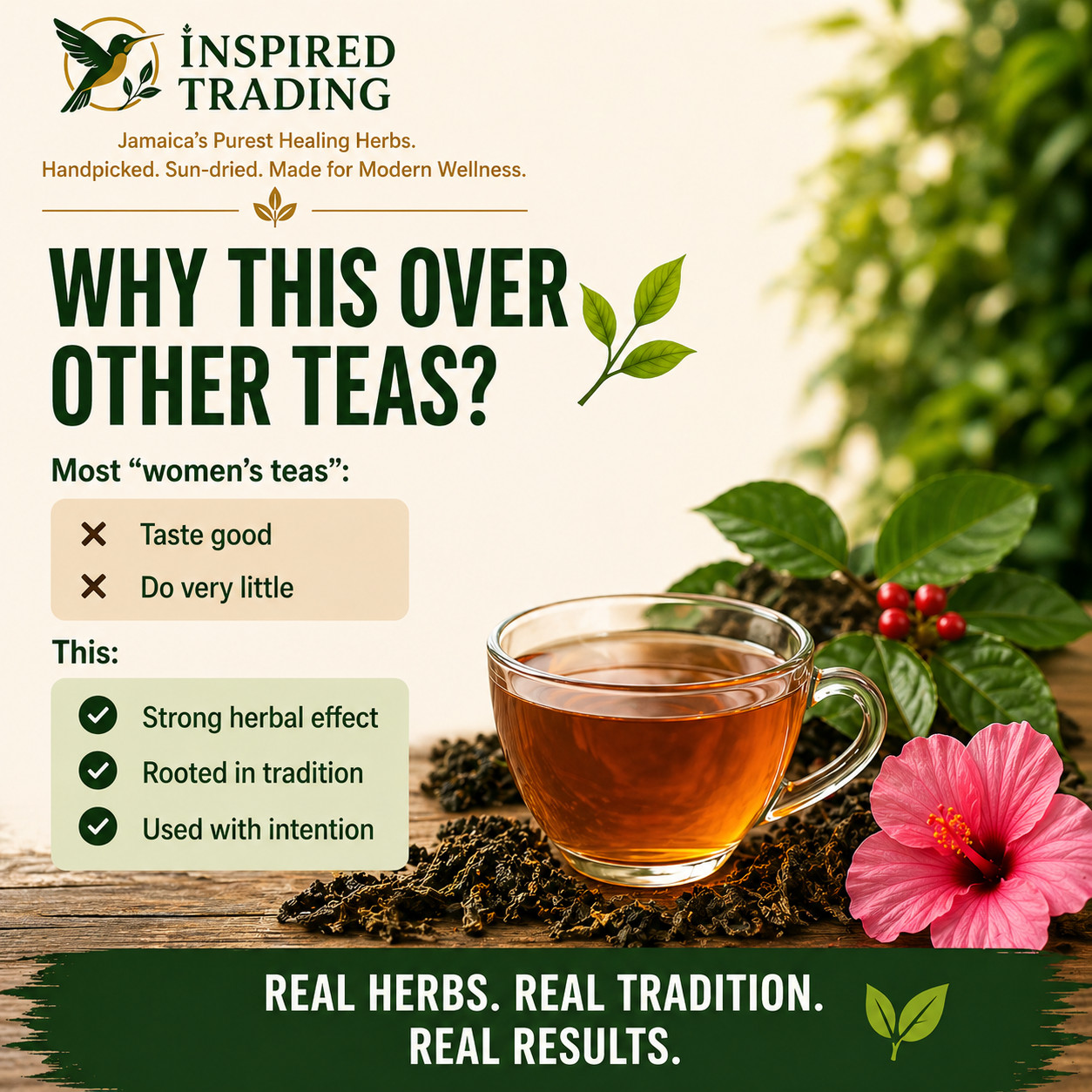 Jamaican Dog Blood Tea 2 Pack Fertility TTC Womb Wellness | Wildcrafted Portland