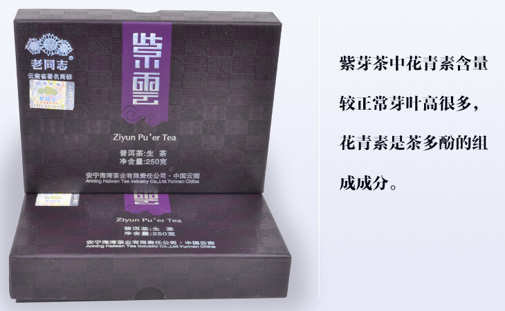 Purple Bud Ziyun Pu’er Tea * 2011 Haiwan Old Comrade Puer Pu Erh Brick Raw 250g