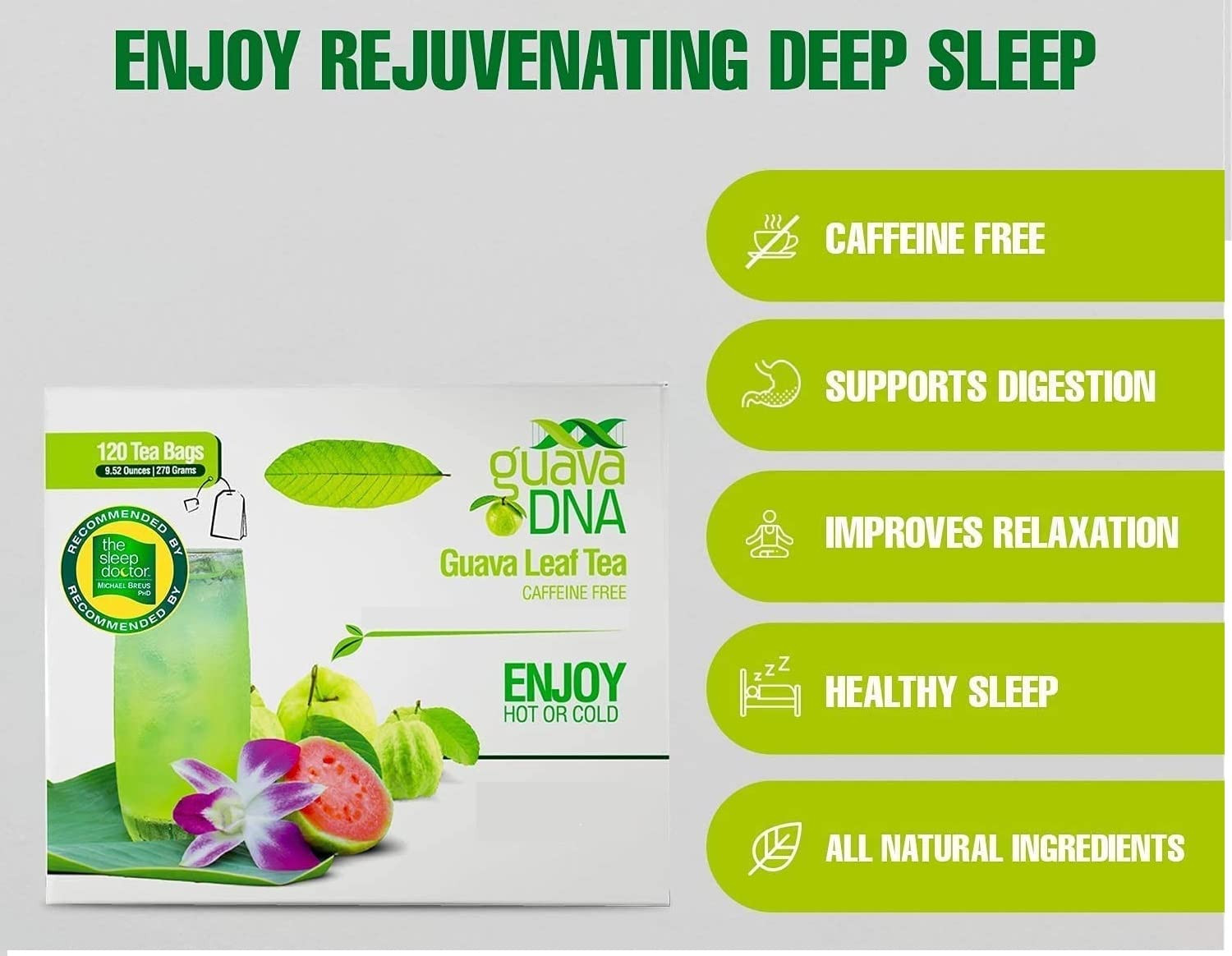 GuavaDNA Guava Leaf Tea Individually Wrapped Teabags by 120 Count (Pack of 1)