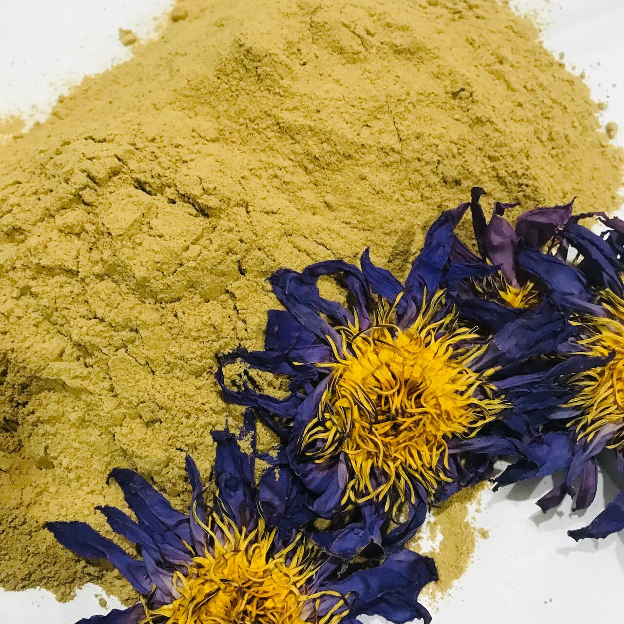 Dried Blue lotus Powder Organic Pure Quality Nymphaea Caerulea Flower Herbal Tea