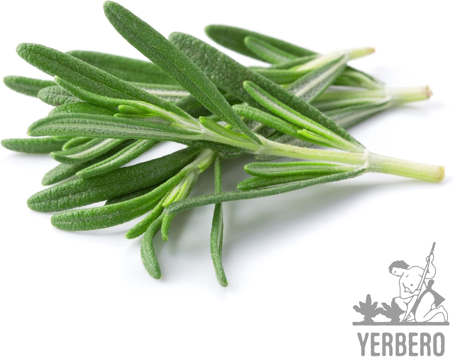 Yerbero – Premium Loose Whole Rosemary Dried Leaves Tea 2oz (58gr) | Hoja De