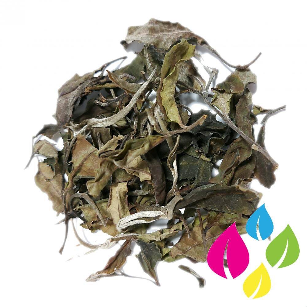 Moonlight White Tea – Yunnan White Tea – Chinese Tea