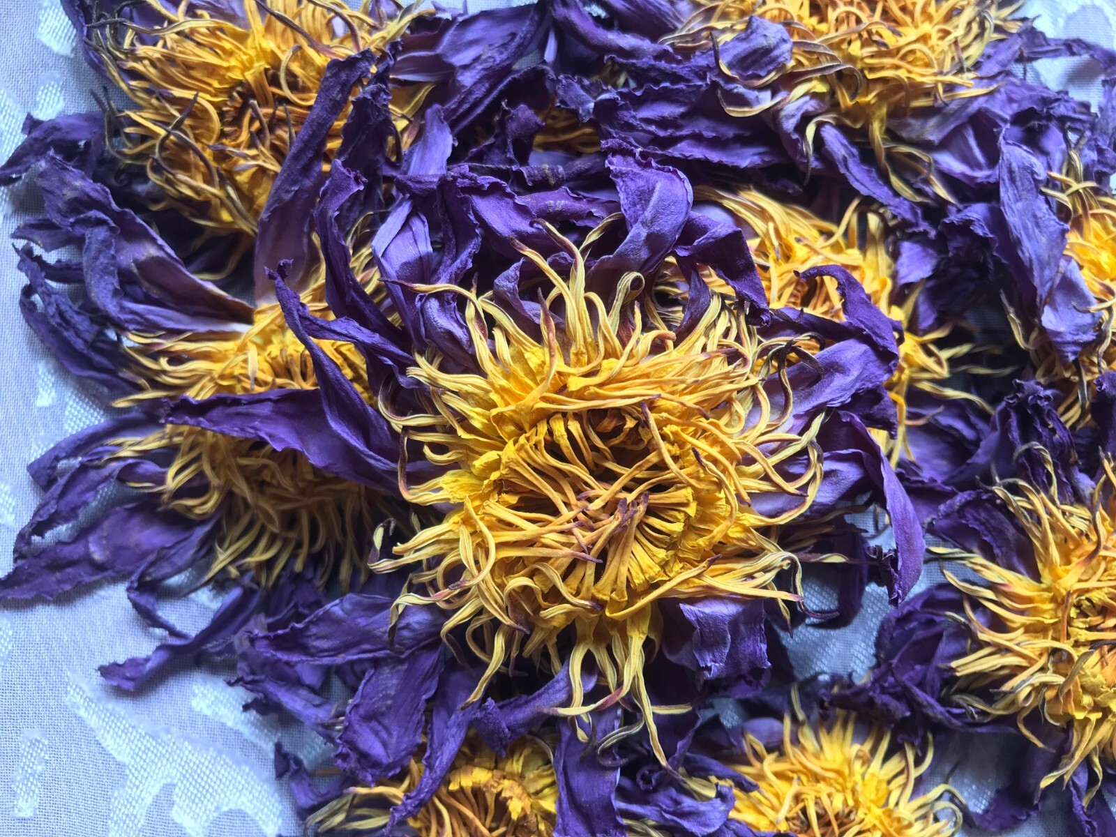 Egyptian Blue Lotus Nymphaea Caerulea Organic Pure Hand Picked Flowers Herbal