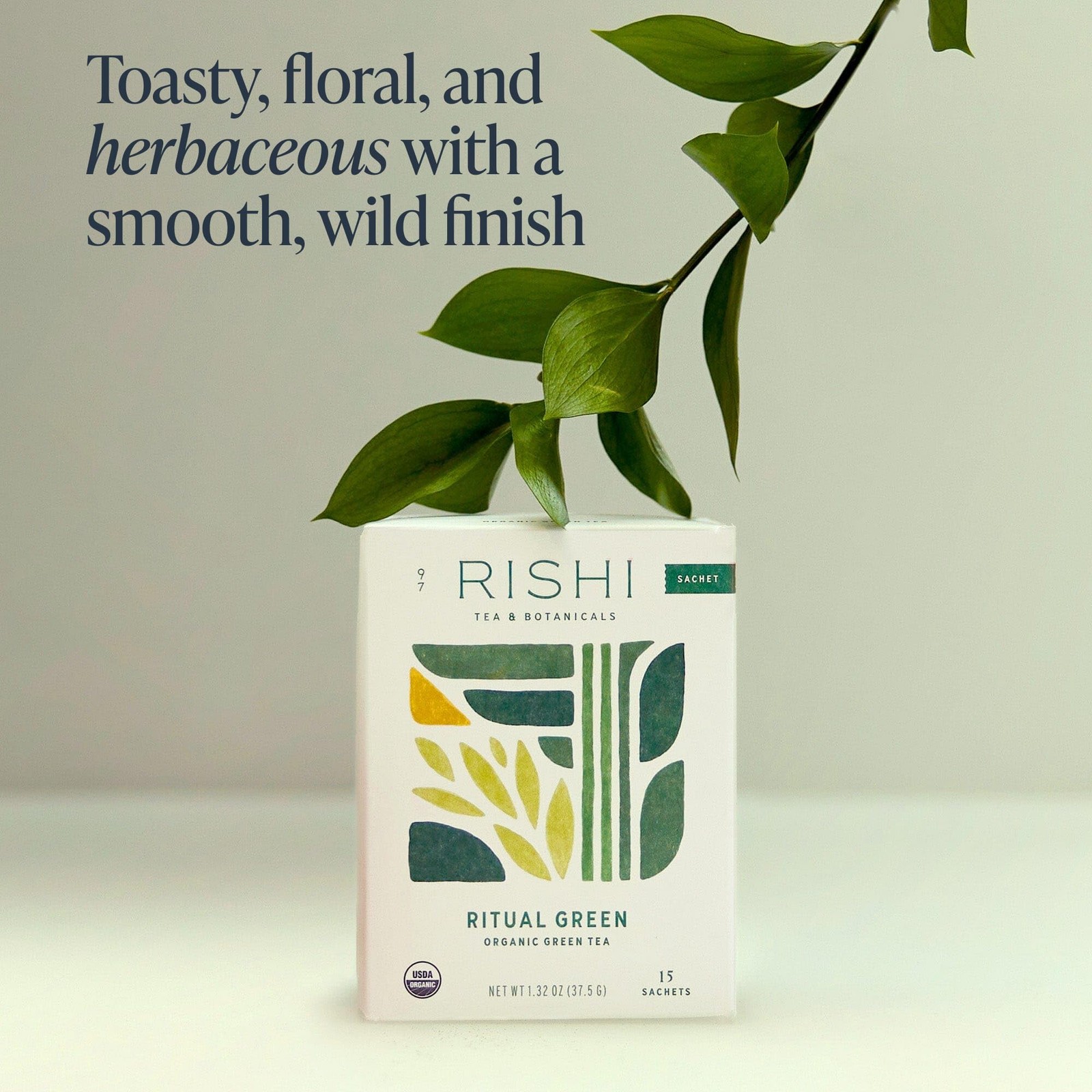 Ritual Green Tea – Organic Sachet Bags, Pure Green Tea, Energizing & Caffeina…