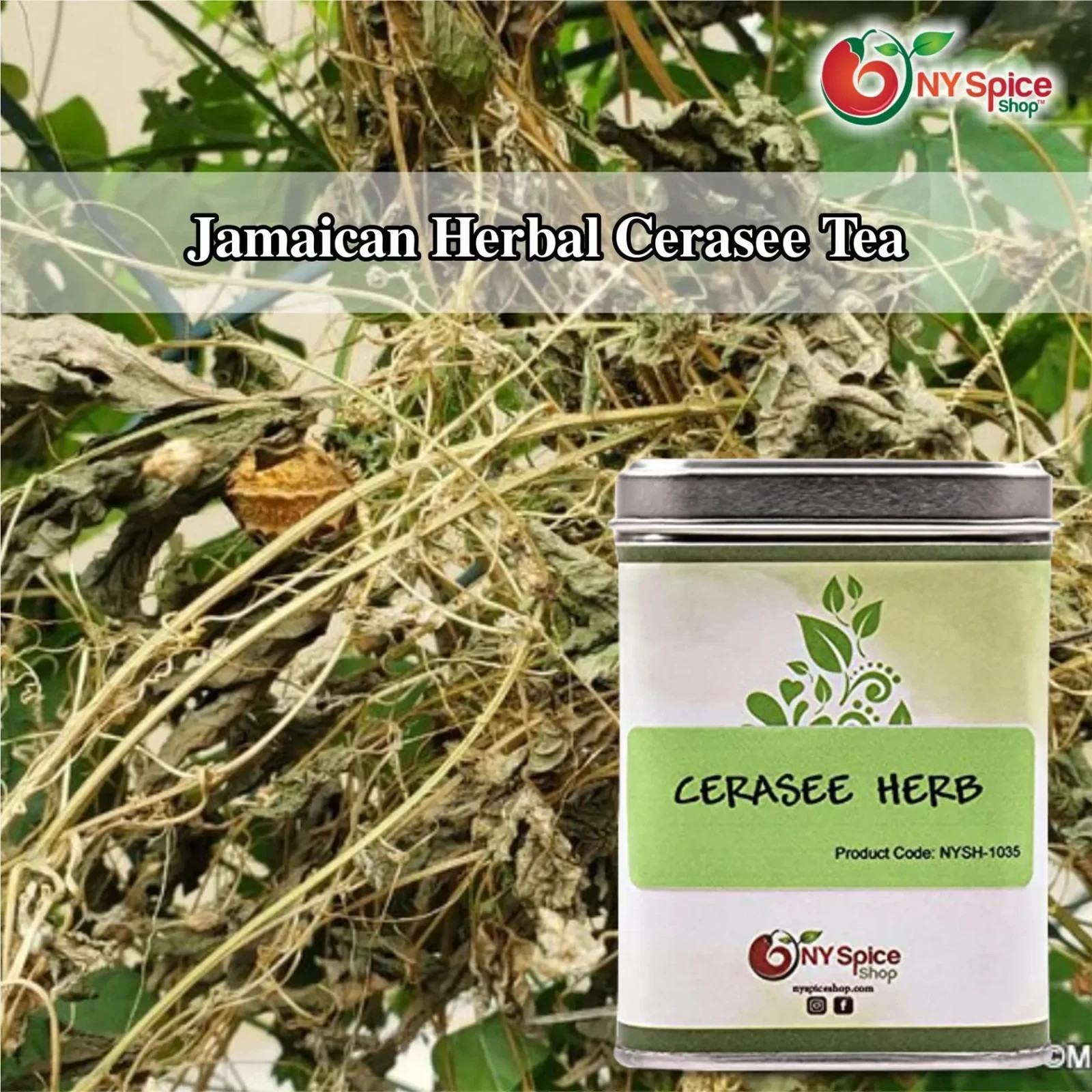 Herb Cerasee Dried Cerasee Available in Tin Box and Other Size
