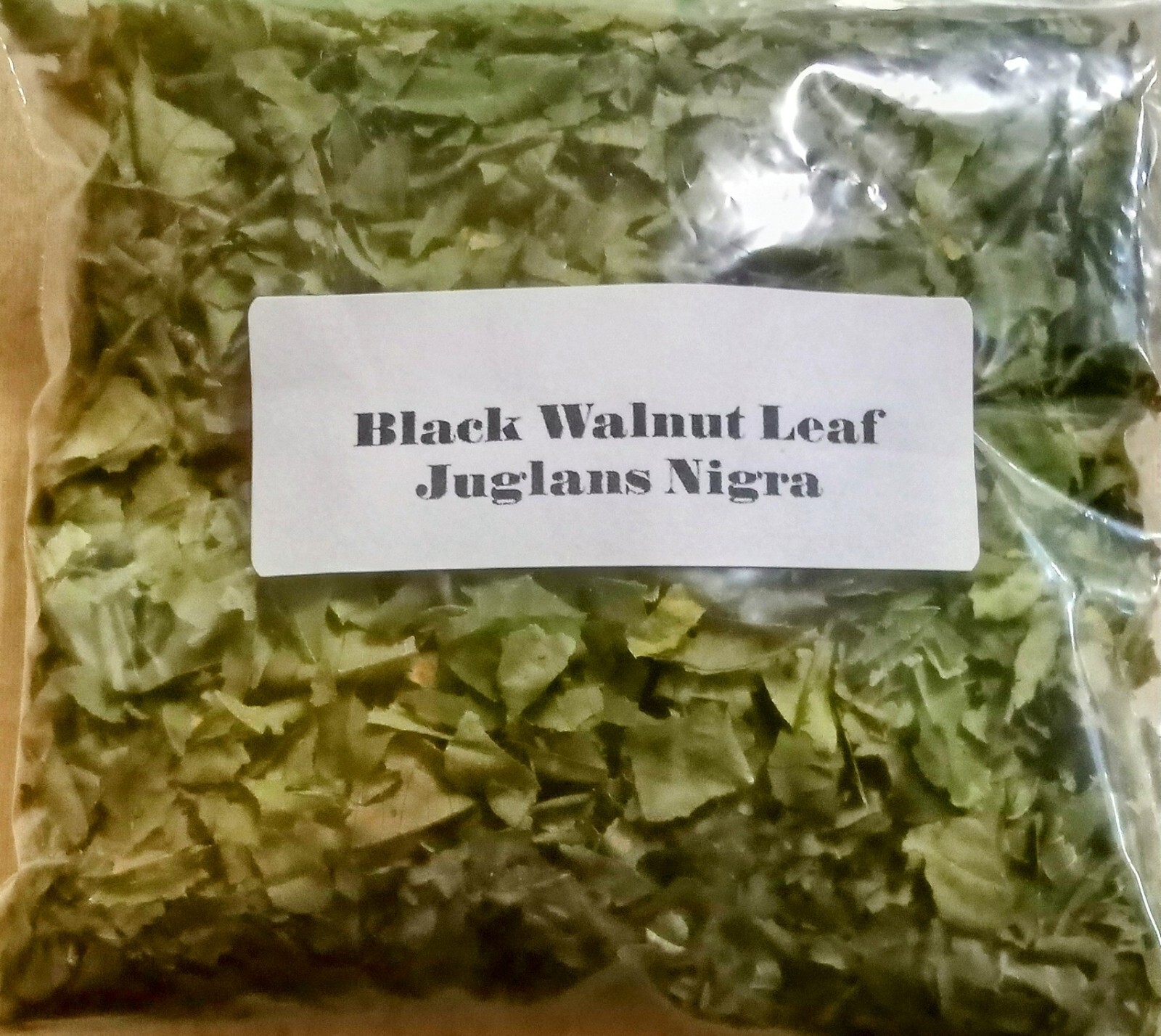 Black Walnut Leaf 1 Ounce ~Juglans Nigra