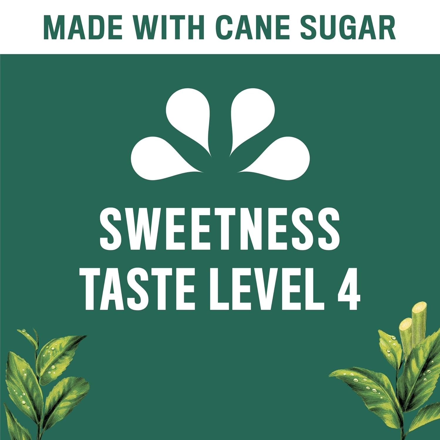 Real Brewed Sweet Tea – Genuine Black Tea with Cane Sugar, 6 Bottles – 101.4 oz