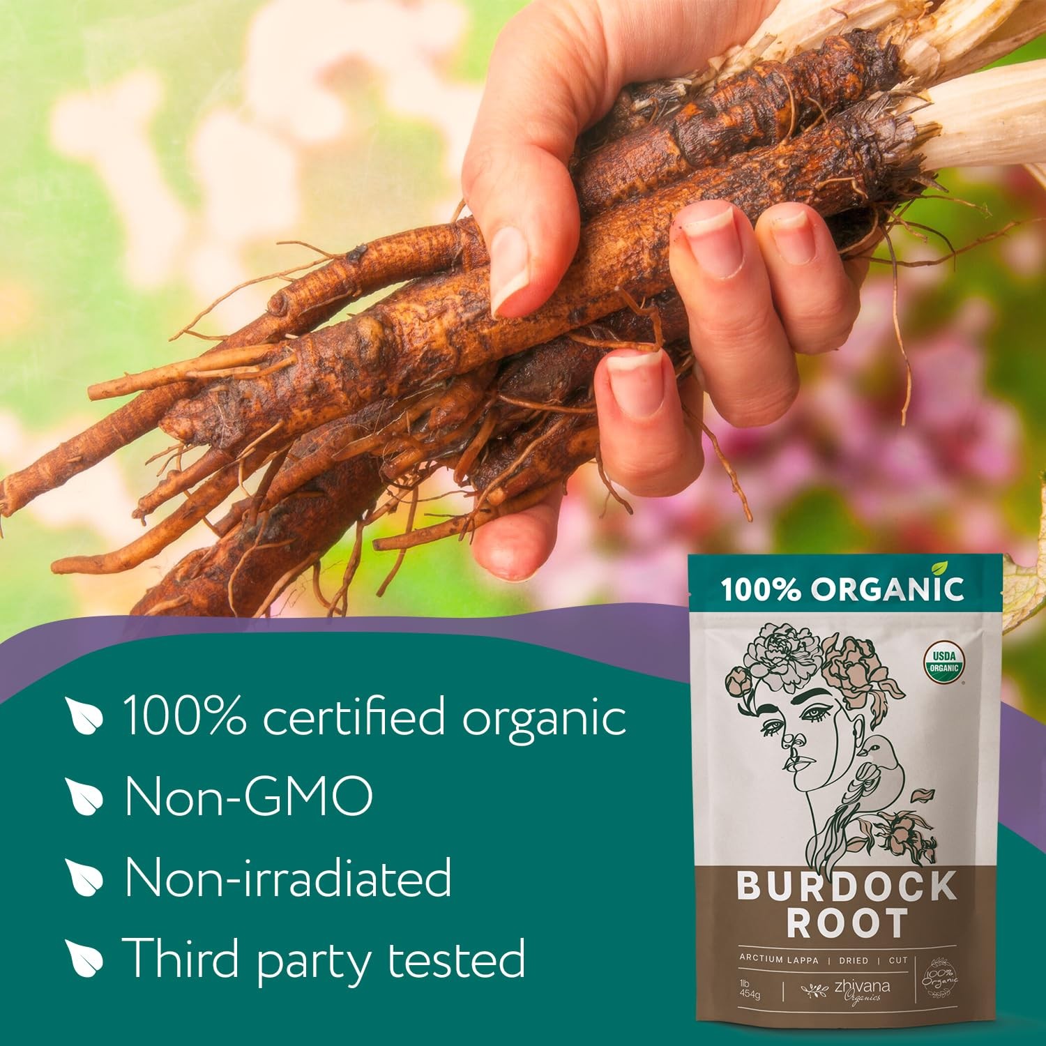 Premium Burdock Root Organic (16 oz.) – Greater Burdock Root Tea Loose – Raíz…