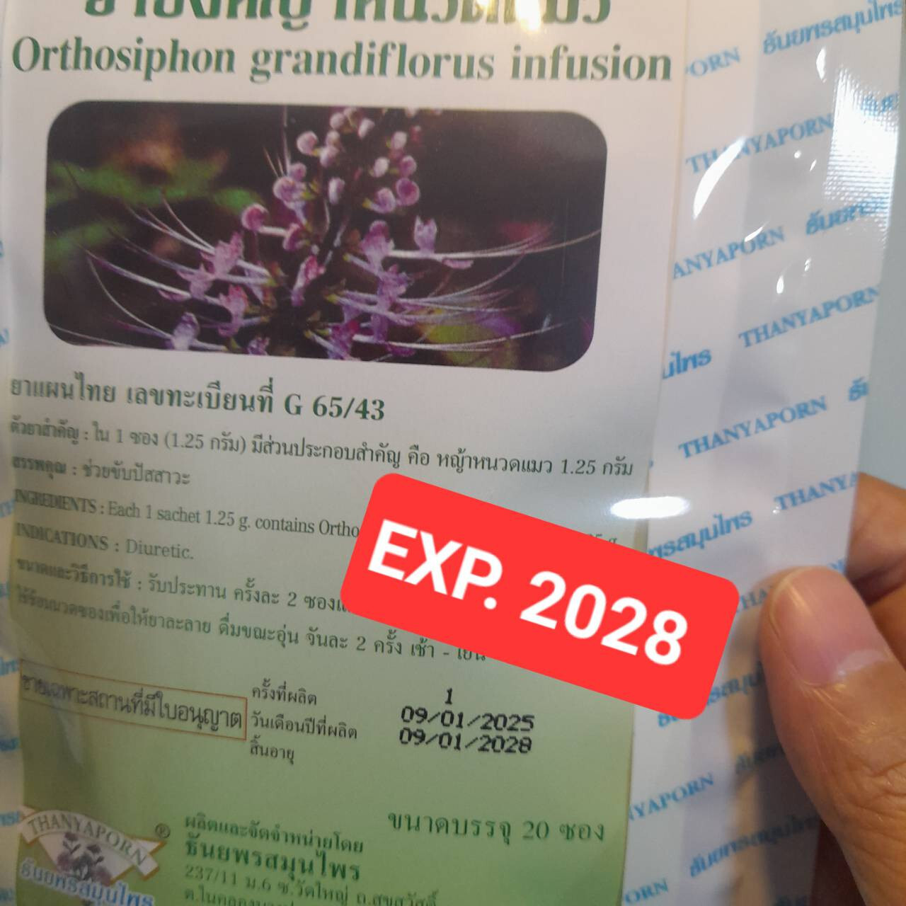 6X Java Tea Cat’s Whiskers Thai Herbal Organic Natural Orthosiphon Grandiflorus