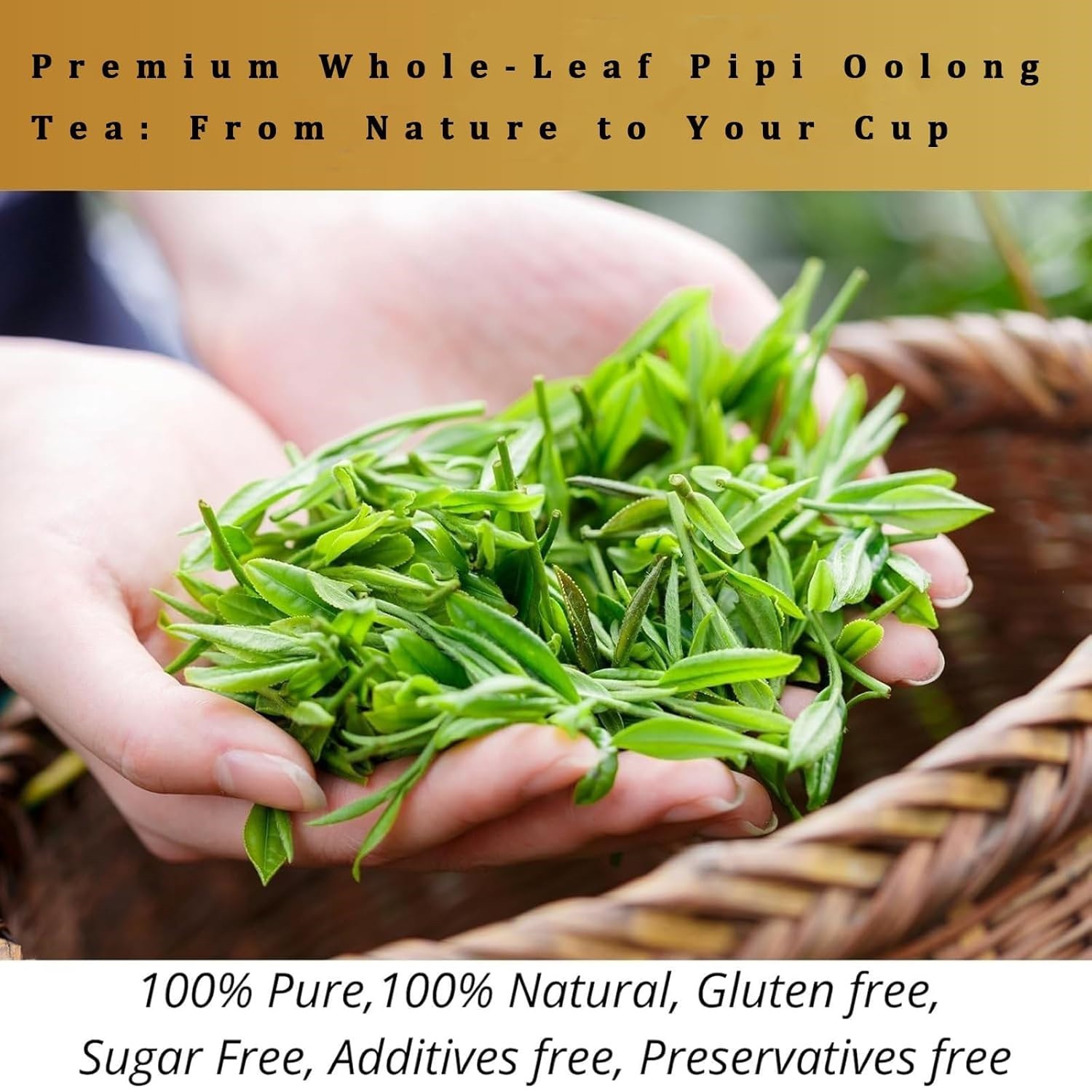 Pipi Tea Oolong,Pipi Oolong Tea,4g*20 Bags Selected Tea Leaves,Cortisol &Calming
