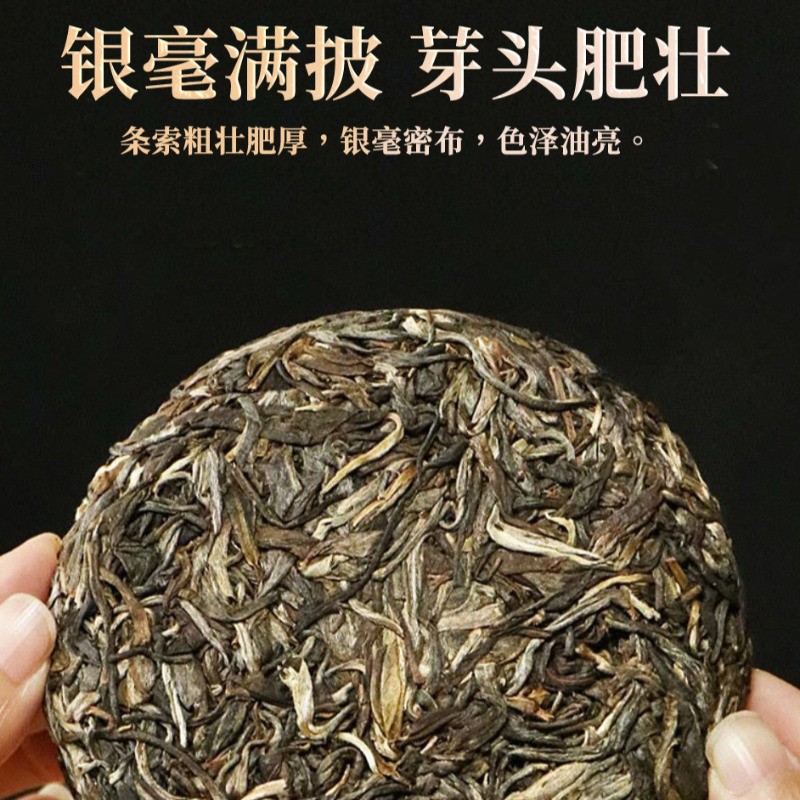 100g Yunnan Menghai Brown Mountain Ancient Tree 2021 Pu’er Tea Raw Tea Cake