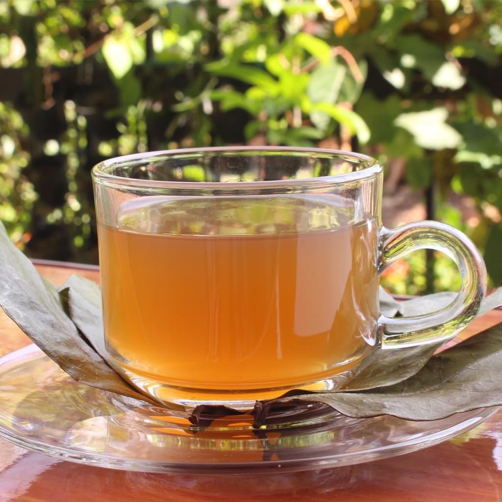 2oz Dried Soursop Tea Leaves Graviola Herbal Tea Hojas de Guanabana | Loose Leaf